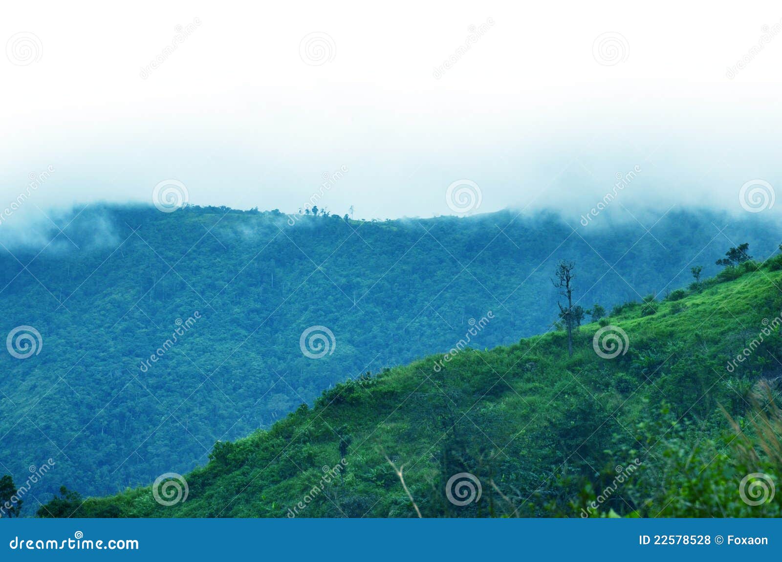 Mountains in a fog. Blue tint. Beauty blue clean clear color distance european fog haze