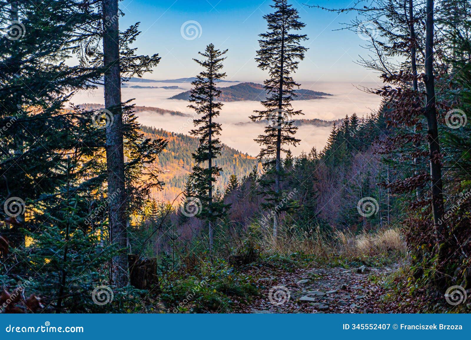 mountains, fog and clouds in mountain valleys in autumn in the ?ywiec beskids in poland. view from the slopes of mount pilsko.