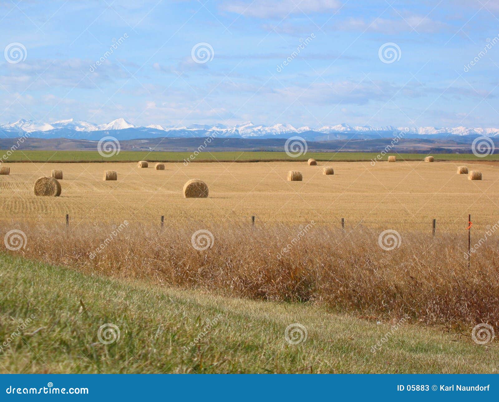 mountains, foothills, and bales