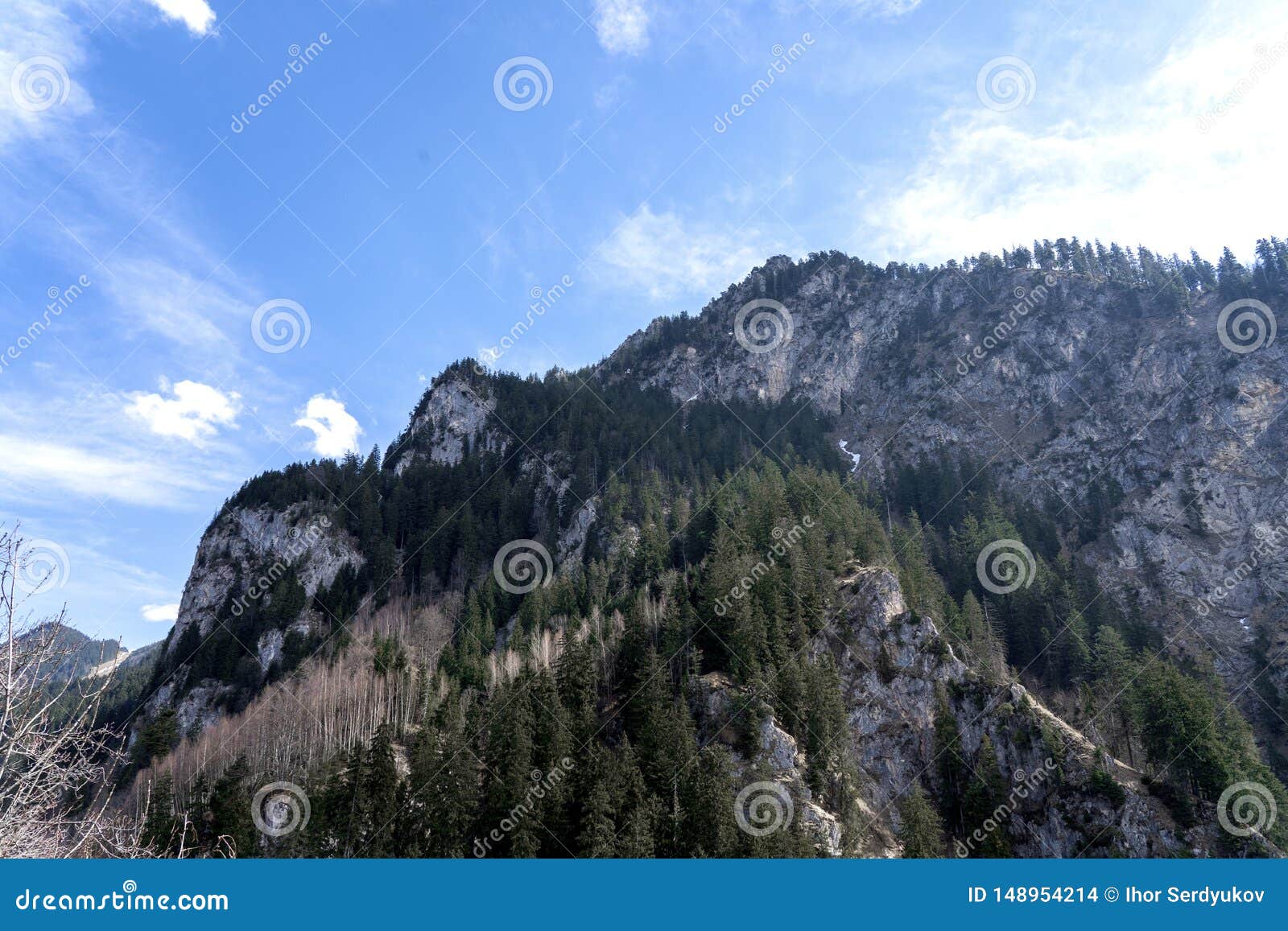 mountains in germany. view from neuschwanstein castle, the famous viewpoint in fussen, germany - immagine