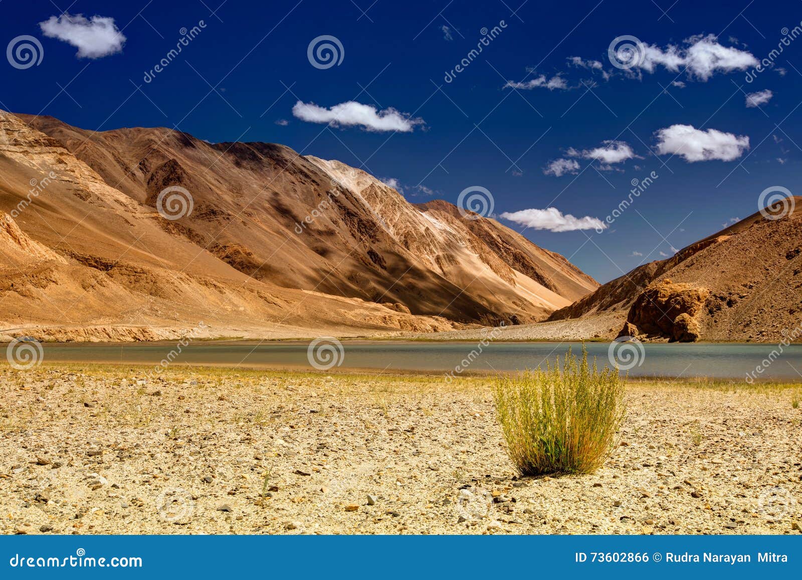 Mountains and Green Vegetation, Chagor Tso - Lake ,Leh,Ladakh,Jammu Kashmir, India Stock Photo - Image of natural, nature: 73602866
