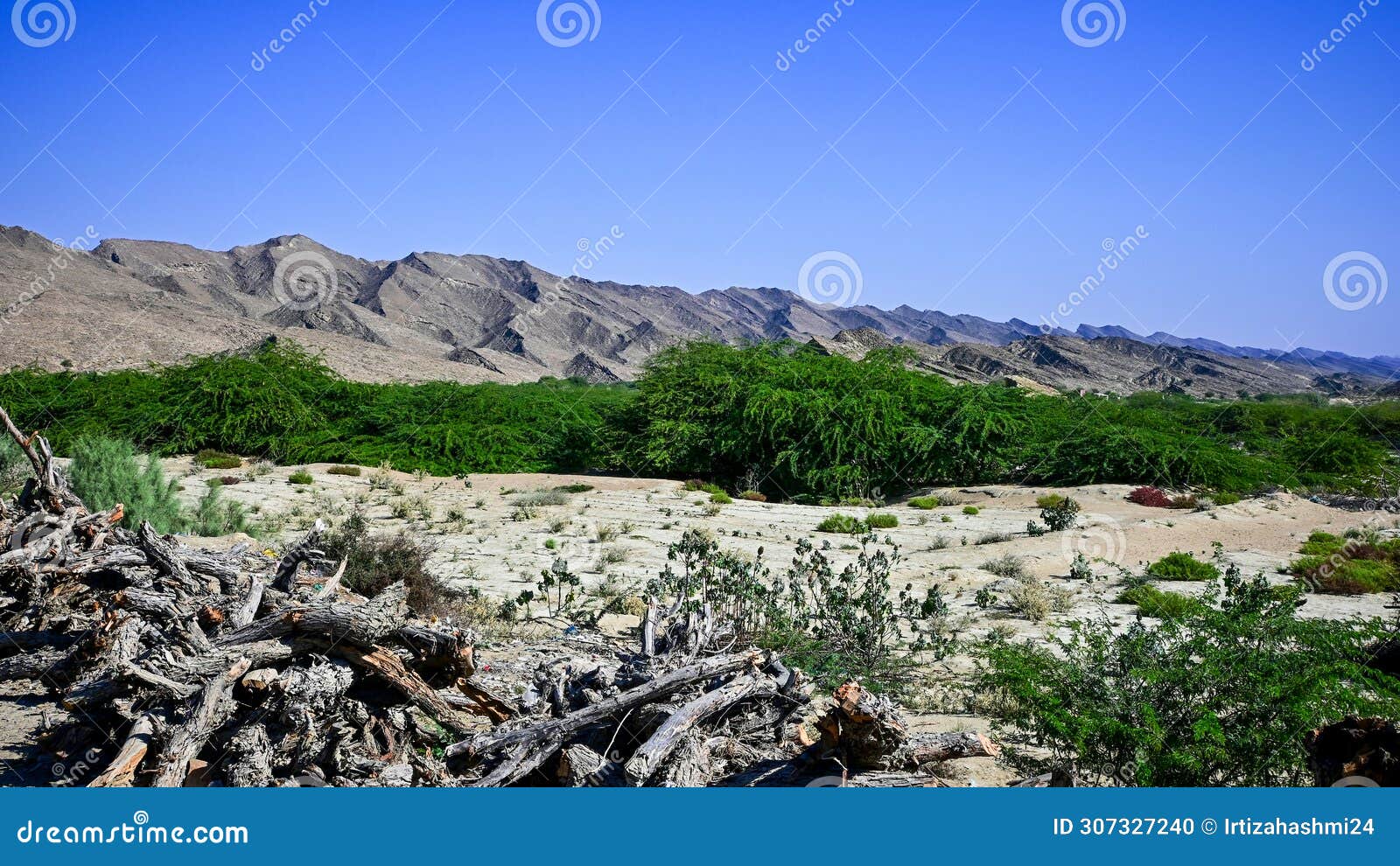 mountains in kund malir, baluchistan studded with vegetation.