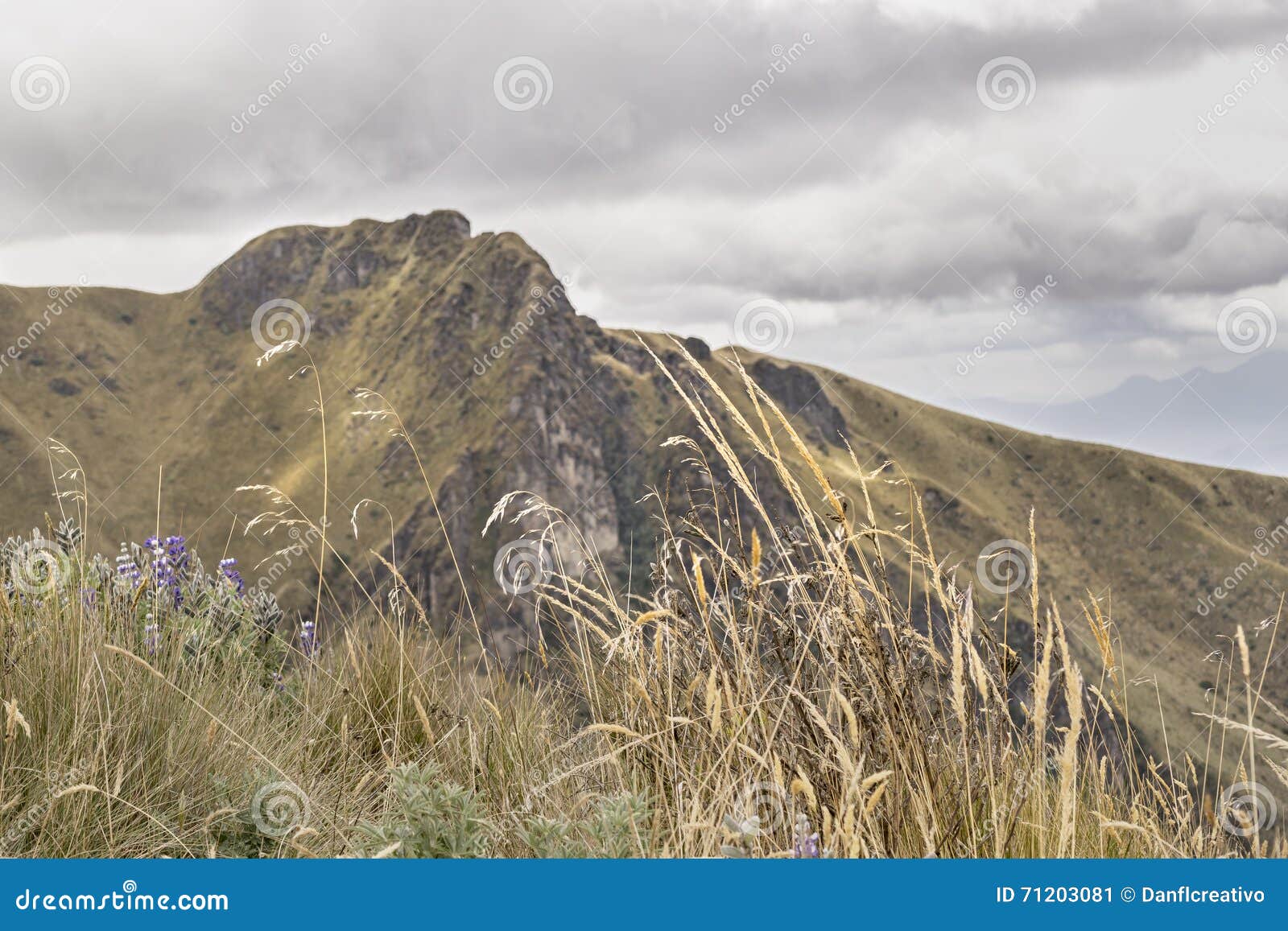 Mountains Landscape Quito Ecuador Stock Image Image of cloudy