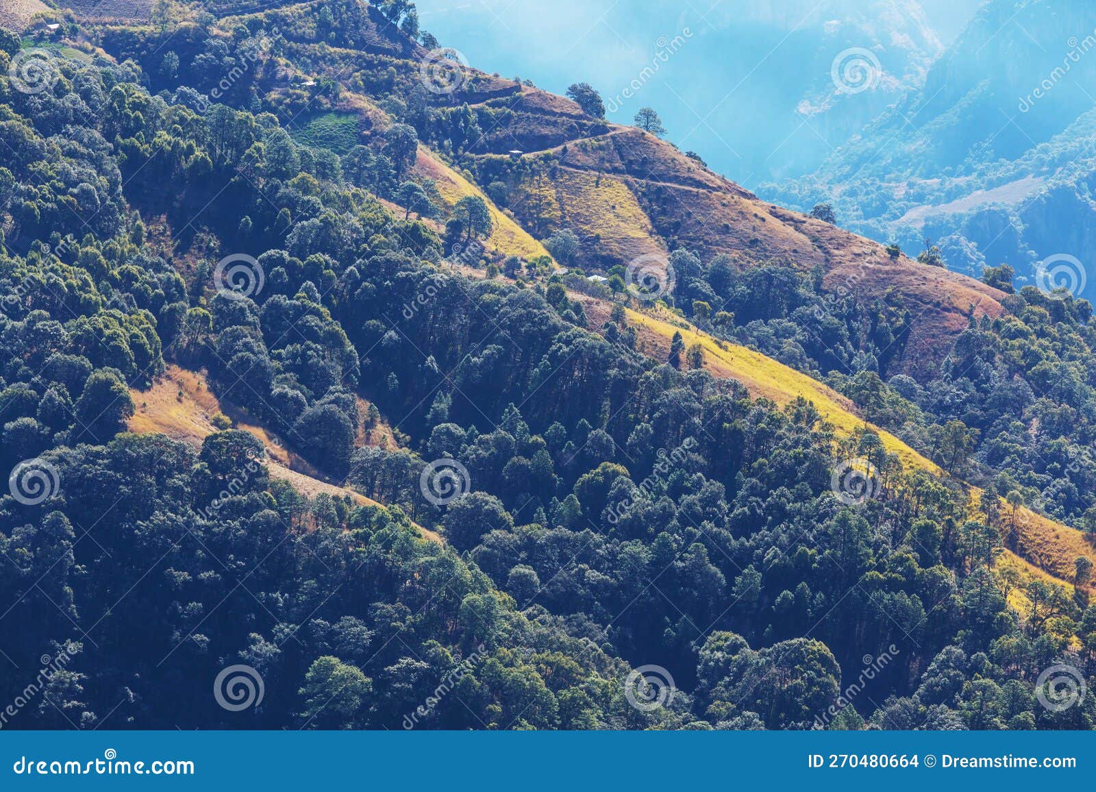 mountains in mexico