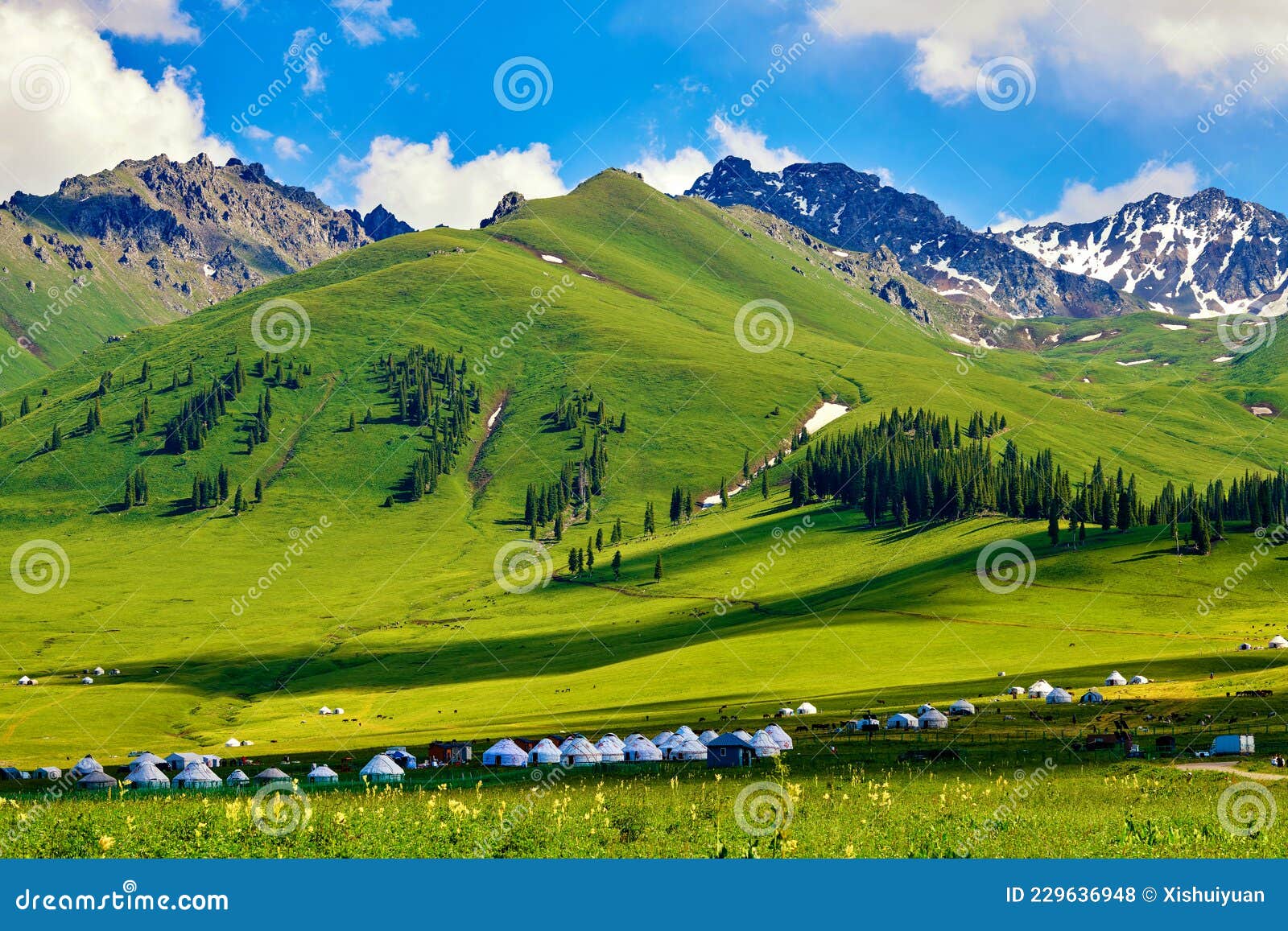 the mountains and mongolia yurts in summer grassland