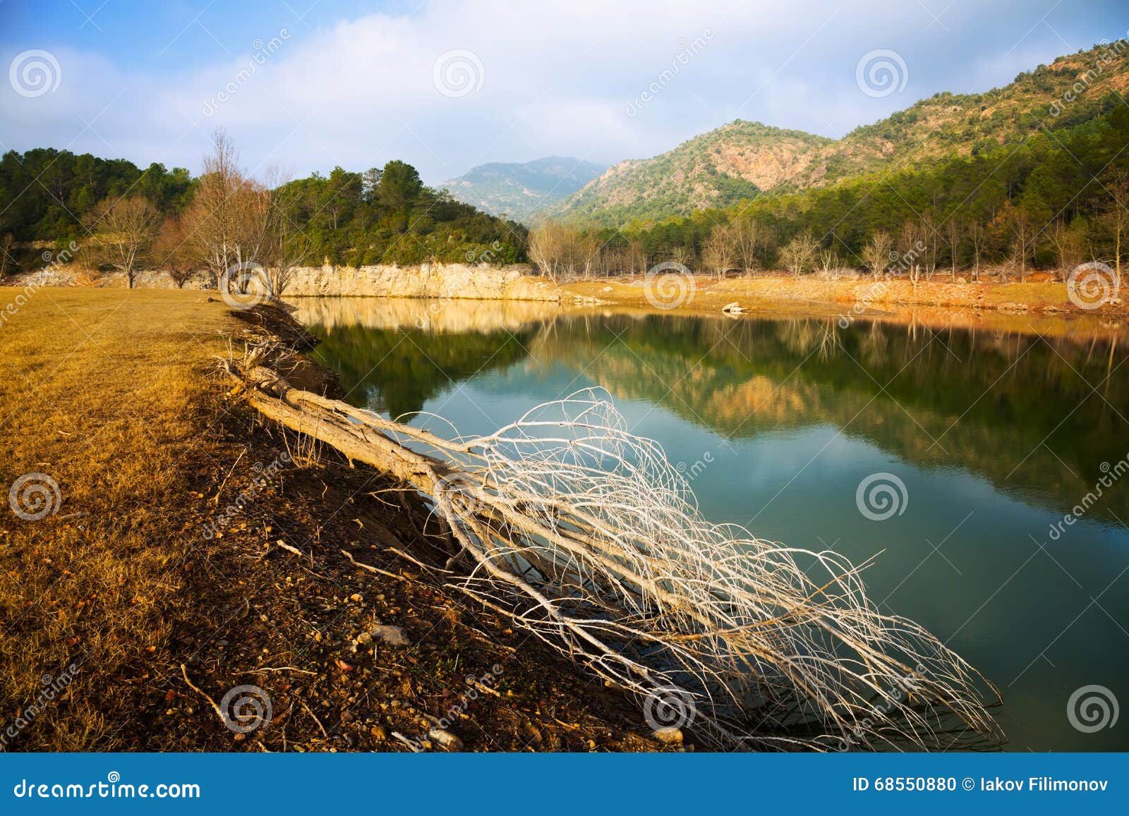 mountains river in autumn day. muga, catalan pyrenees