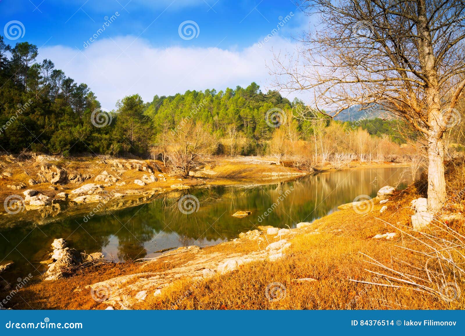 mountains river in sunny winter day. muga, catalan pyrenees