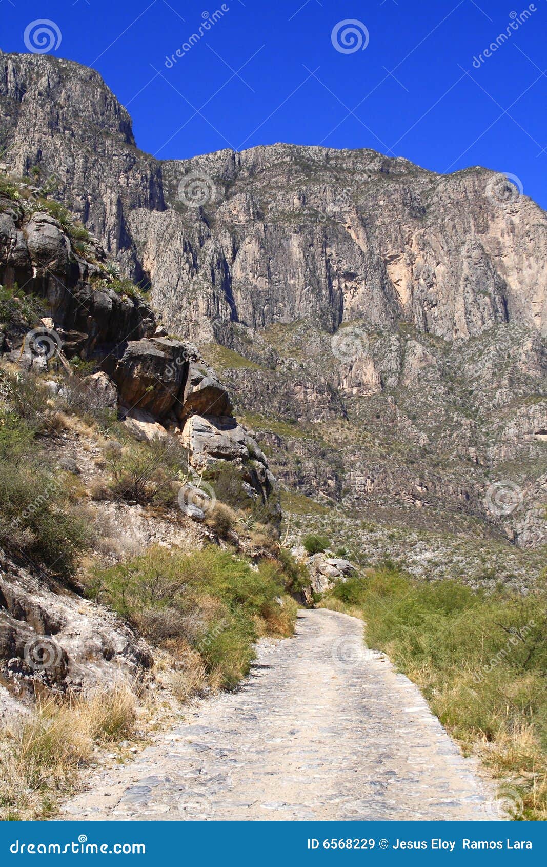 mountains and road in durango, mexico vii