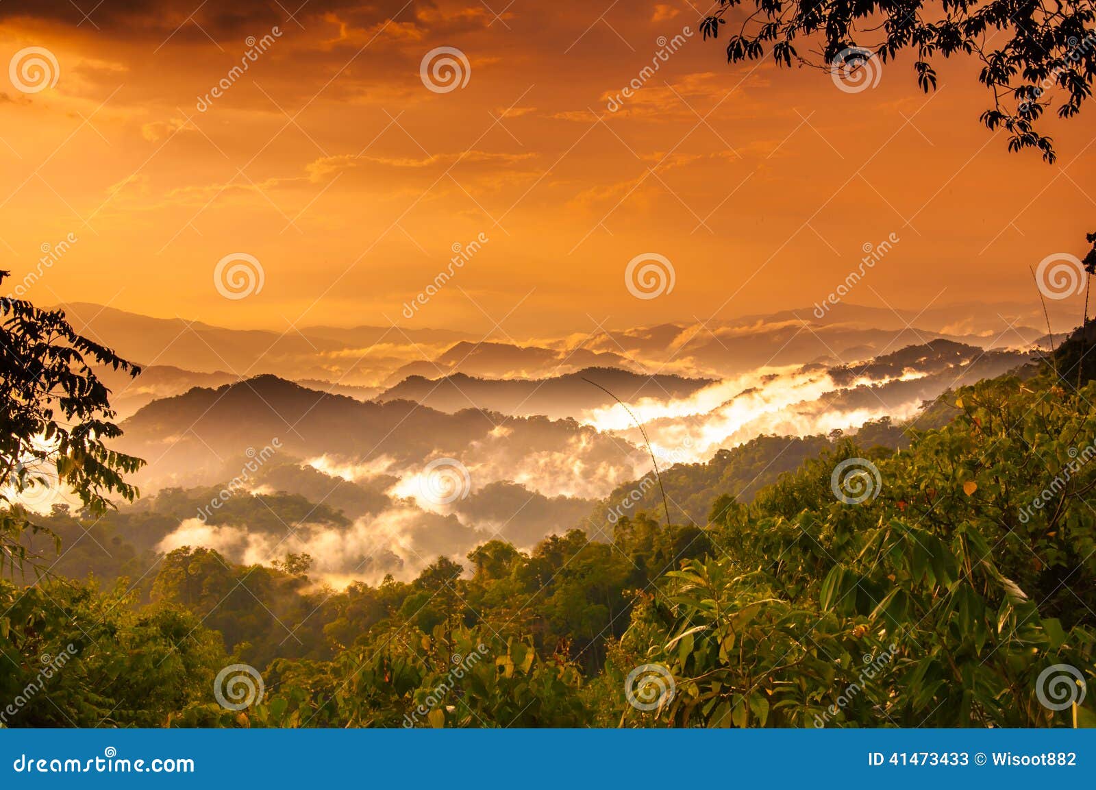 mountian and cloud in tropical forest