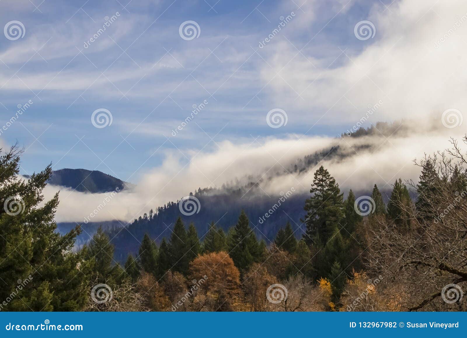 mountians enveloped with misty fog on an autumn day