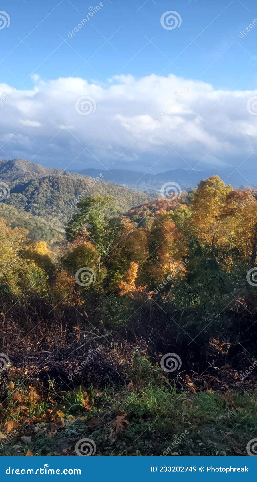 mountians in the smokies in fall