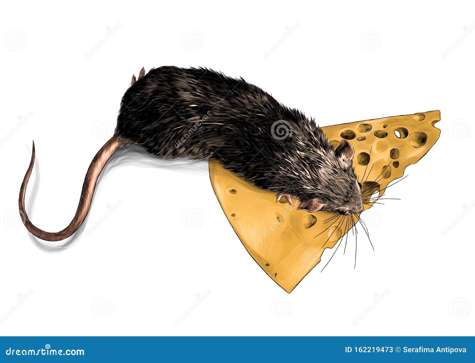 Mouse Crawling on a Triangular Piece of Cheese Top View Stock Vector