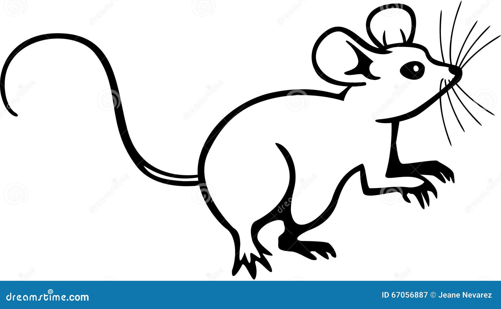 mouse line drawing sitting up its haunches eps file pending 67056887