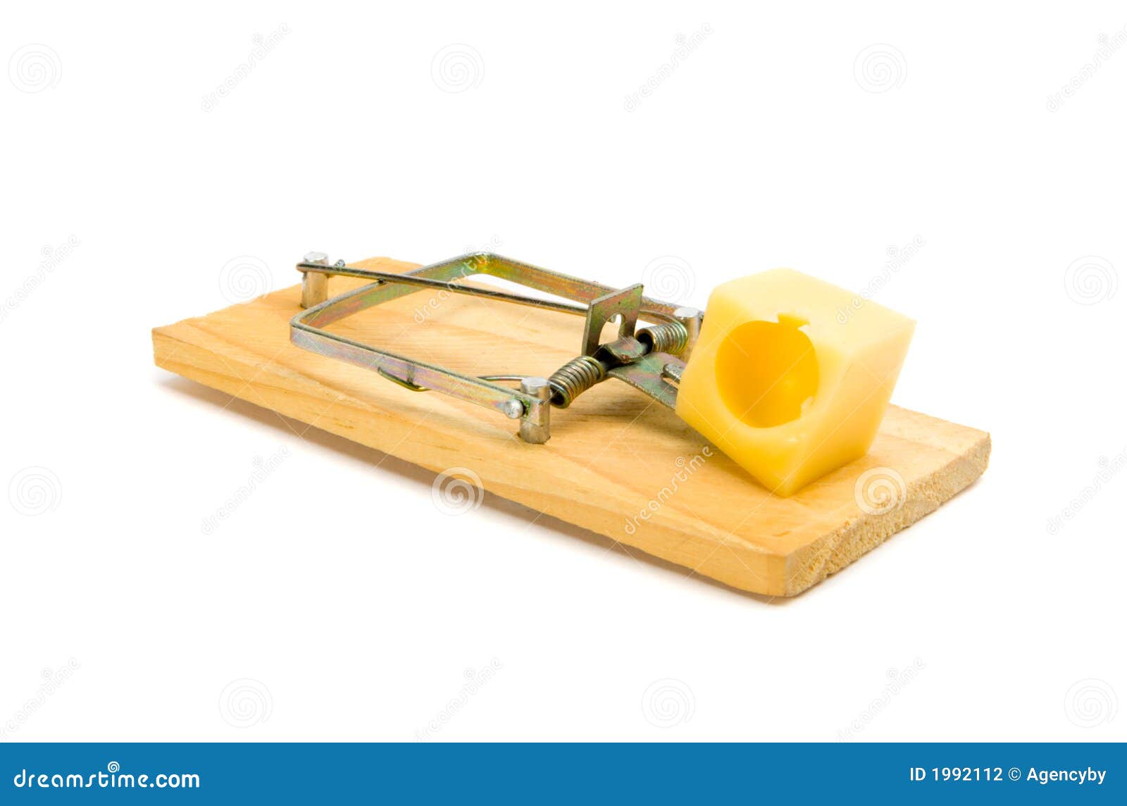 1,600+ Mouse Trap Cheese Stock Photos, Pictures & Royalty-Free