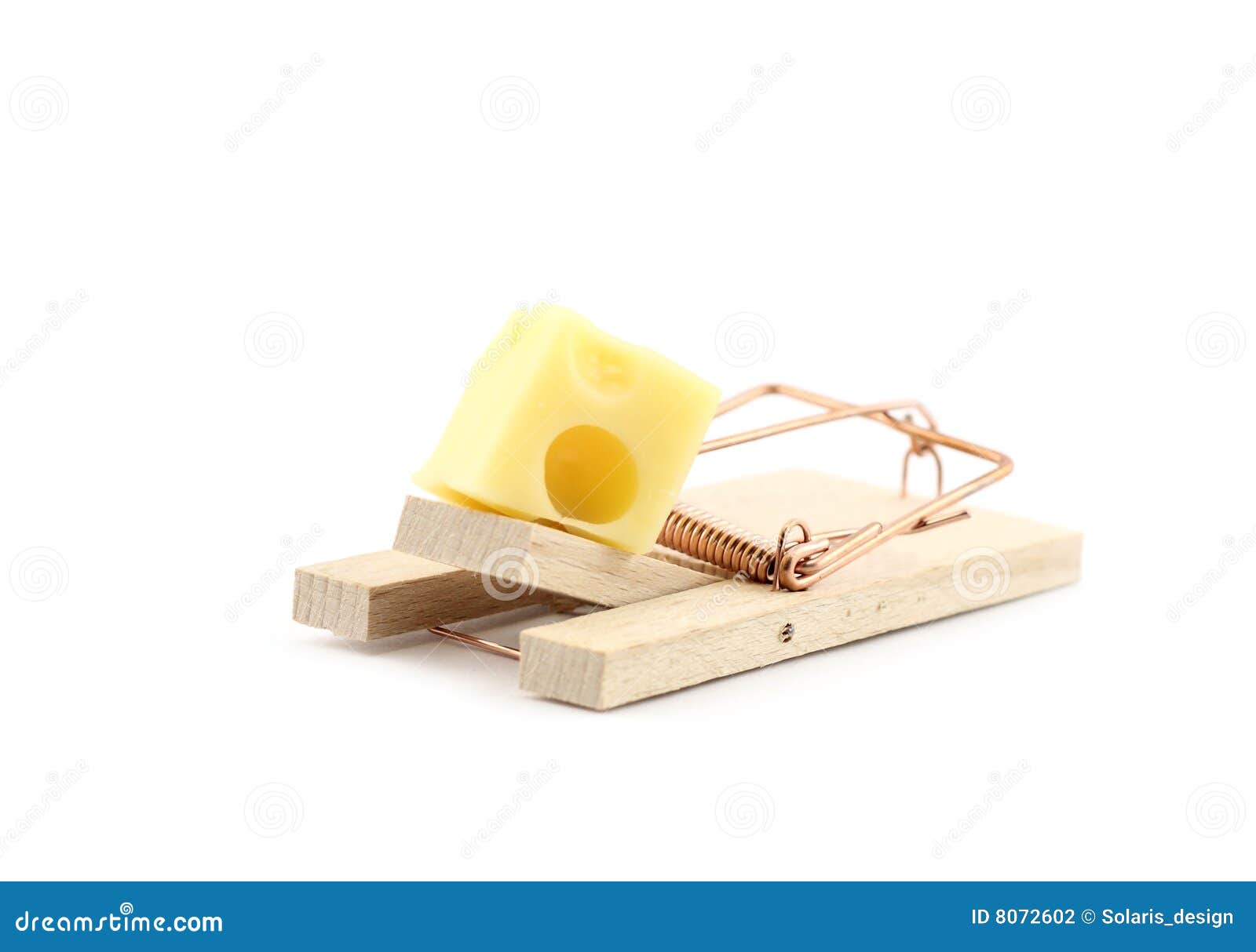 mouse trap with cheese 
