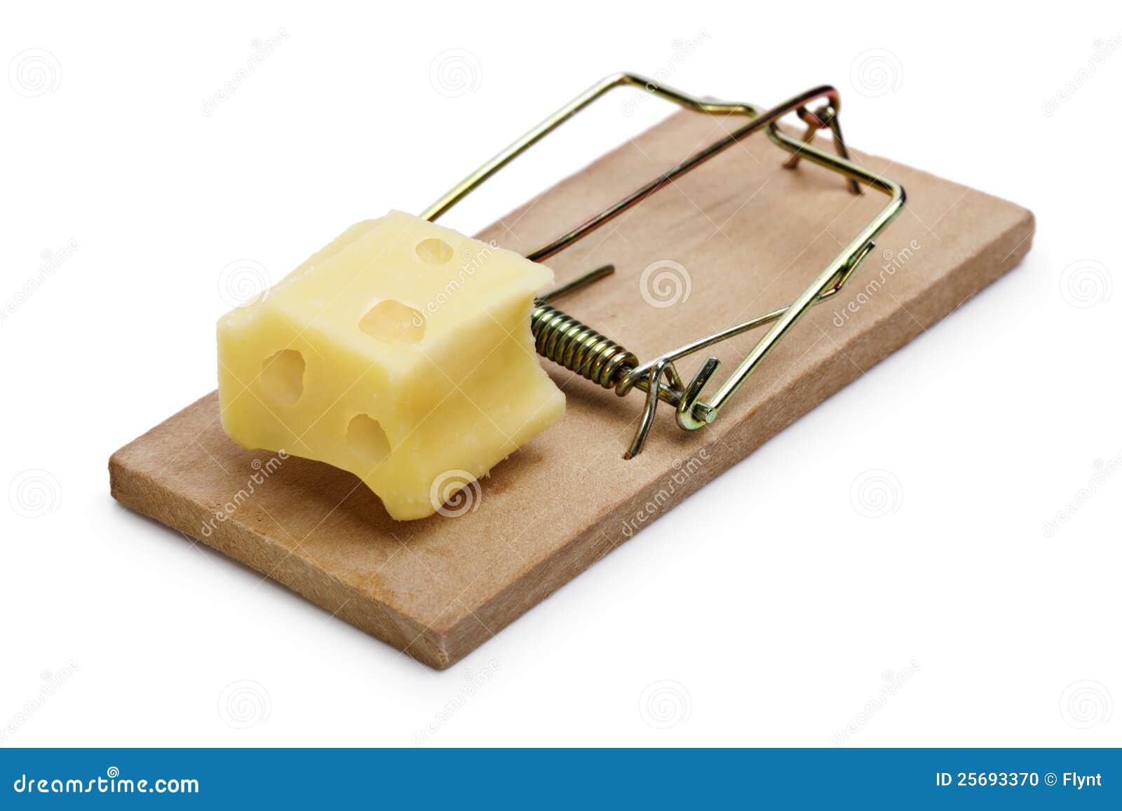 Mousetrap baited with cheese concept for risk, incentive and 