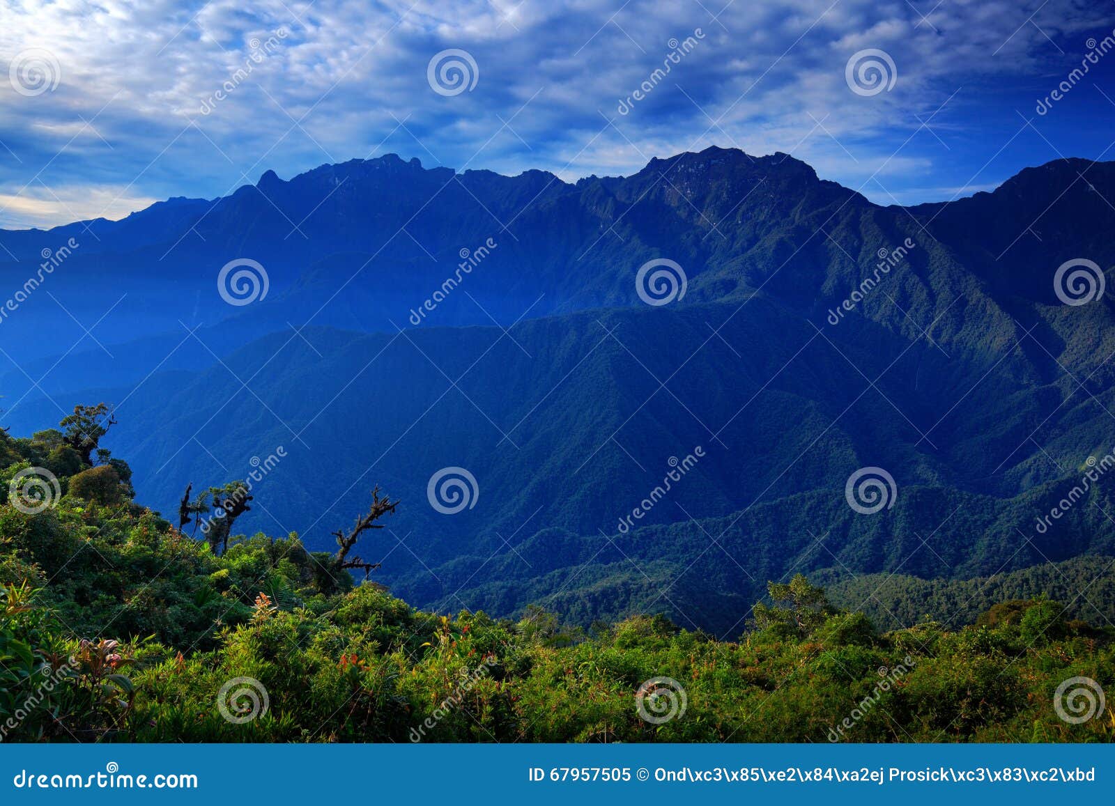 moutain tropical forest with blue sky and clouds,tatama national park, high andes mountains of the cordillera, colombia
