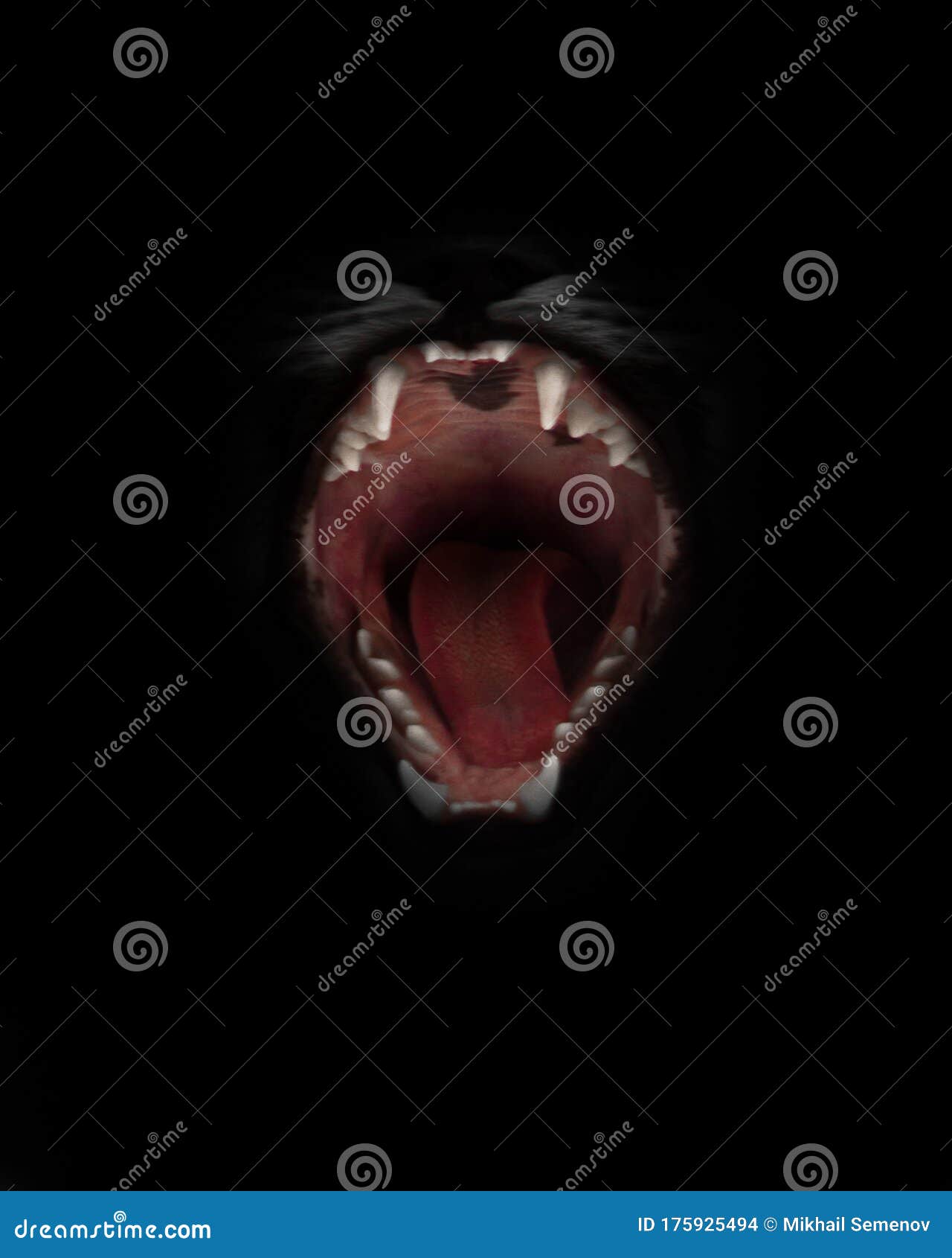 mouth of a night demon,  catÃ¢â¬â¢s jaws of a lynx  on a black background. swallow throat ready to devour prey, a  of