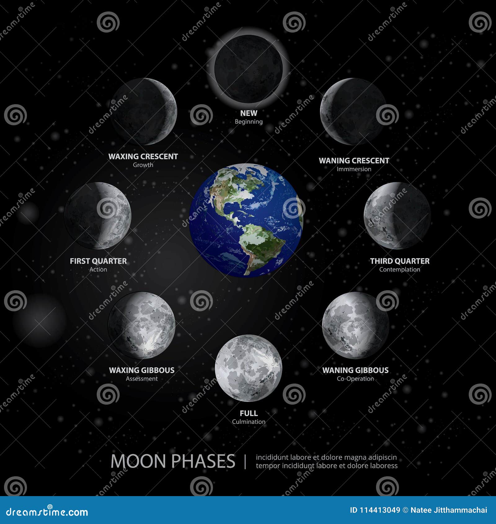 Movements of the Moon Phases Realistic Stock Vector - Illustration of ...