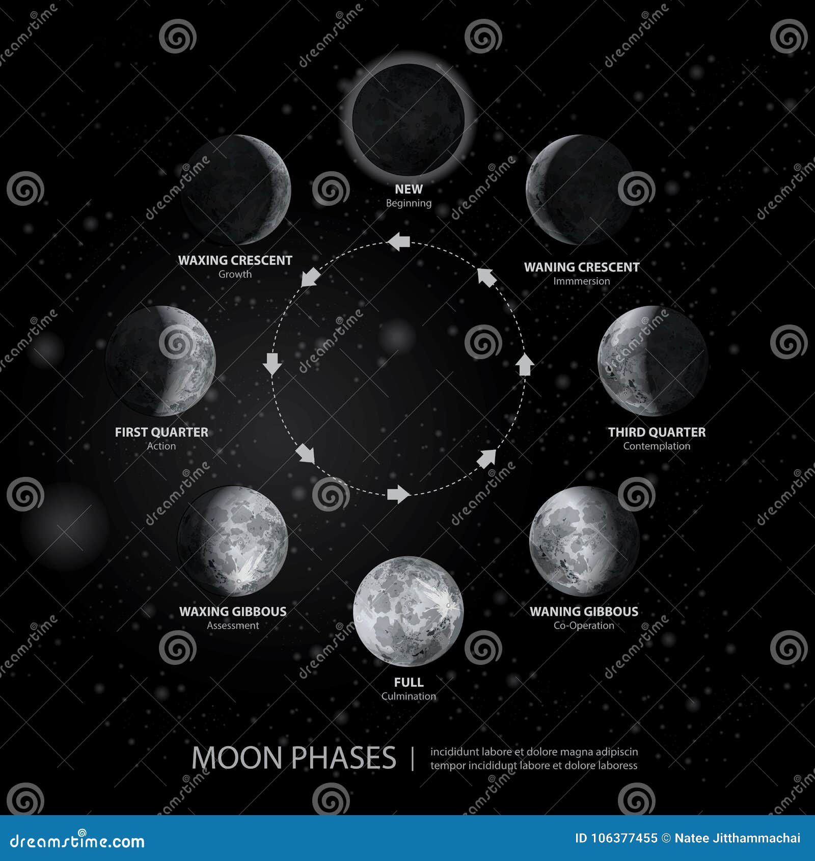 Movements of the Moon Phases Realistic Stock Vector - Illustration of ...