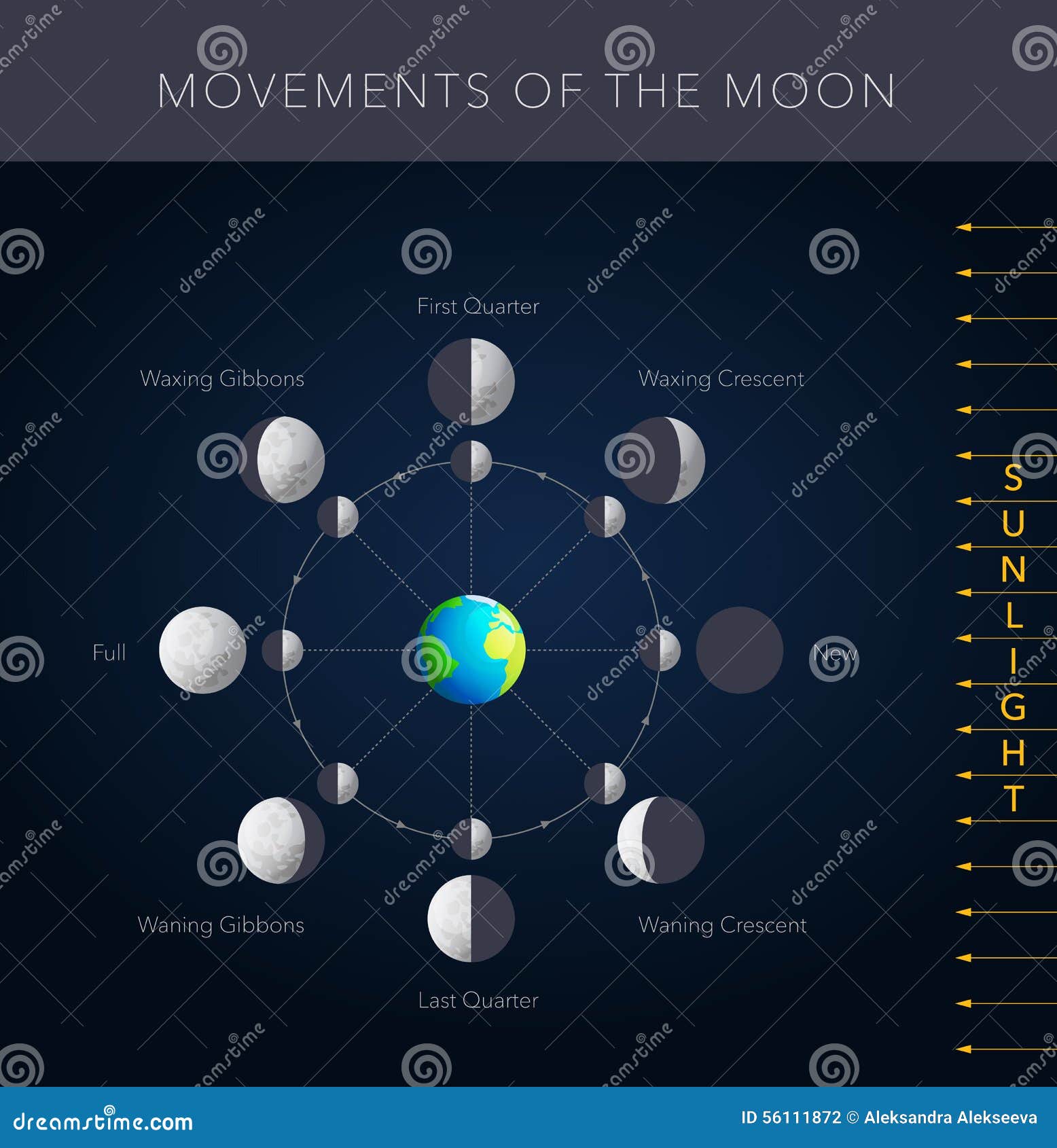 Movements of the Moon Vector Stock Vector - Illustration of nature ...