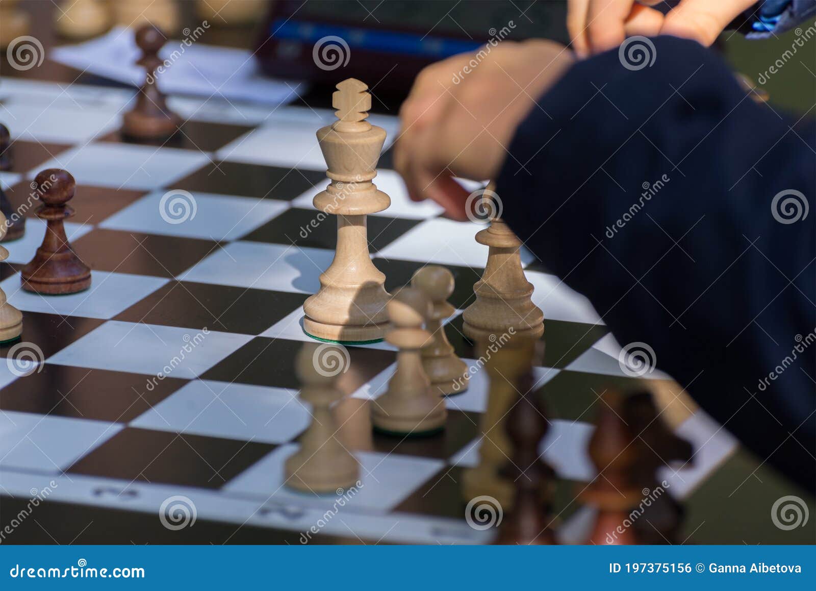 El movimiento de las piezas de ajedrez - Ajedrez de Torneo