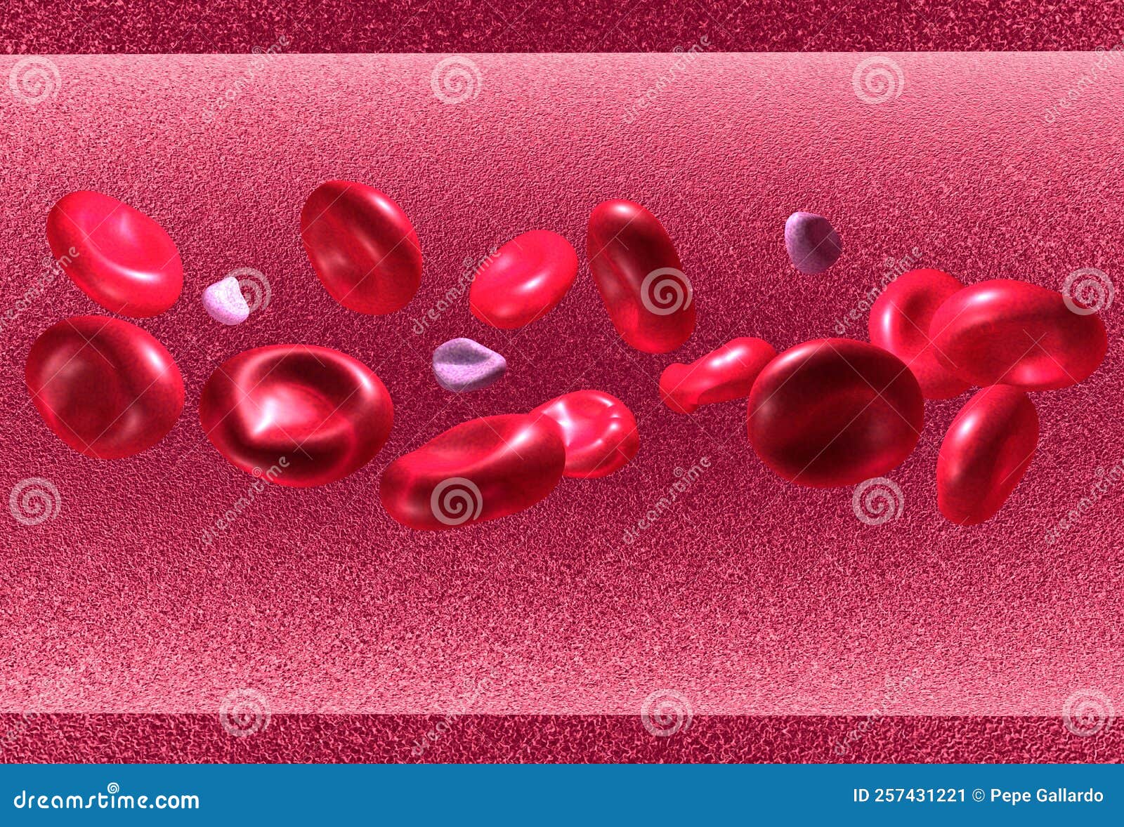 anatomical 3d  of red blood cells.