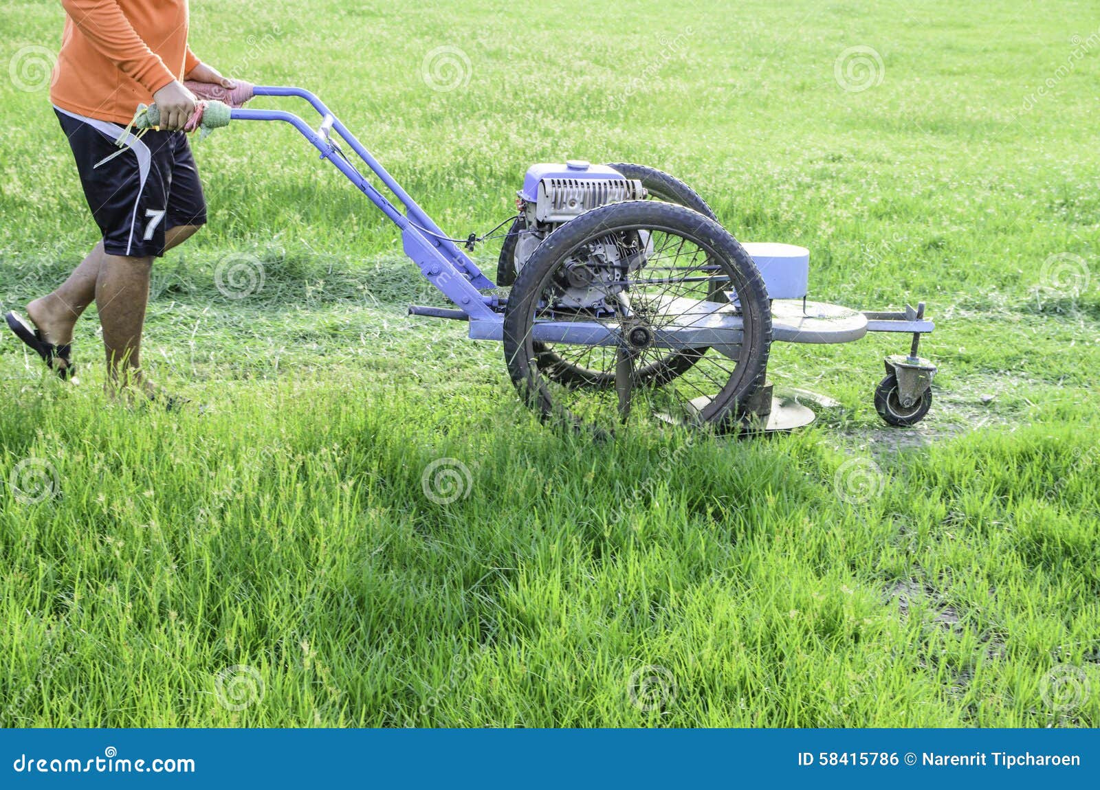 Mowers of ground stock photo. Image of nature, mower 58415786