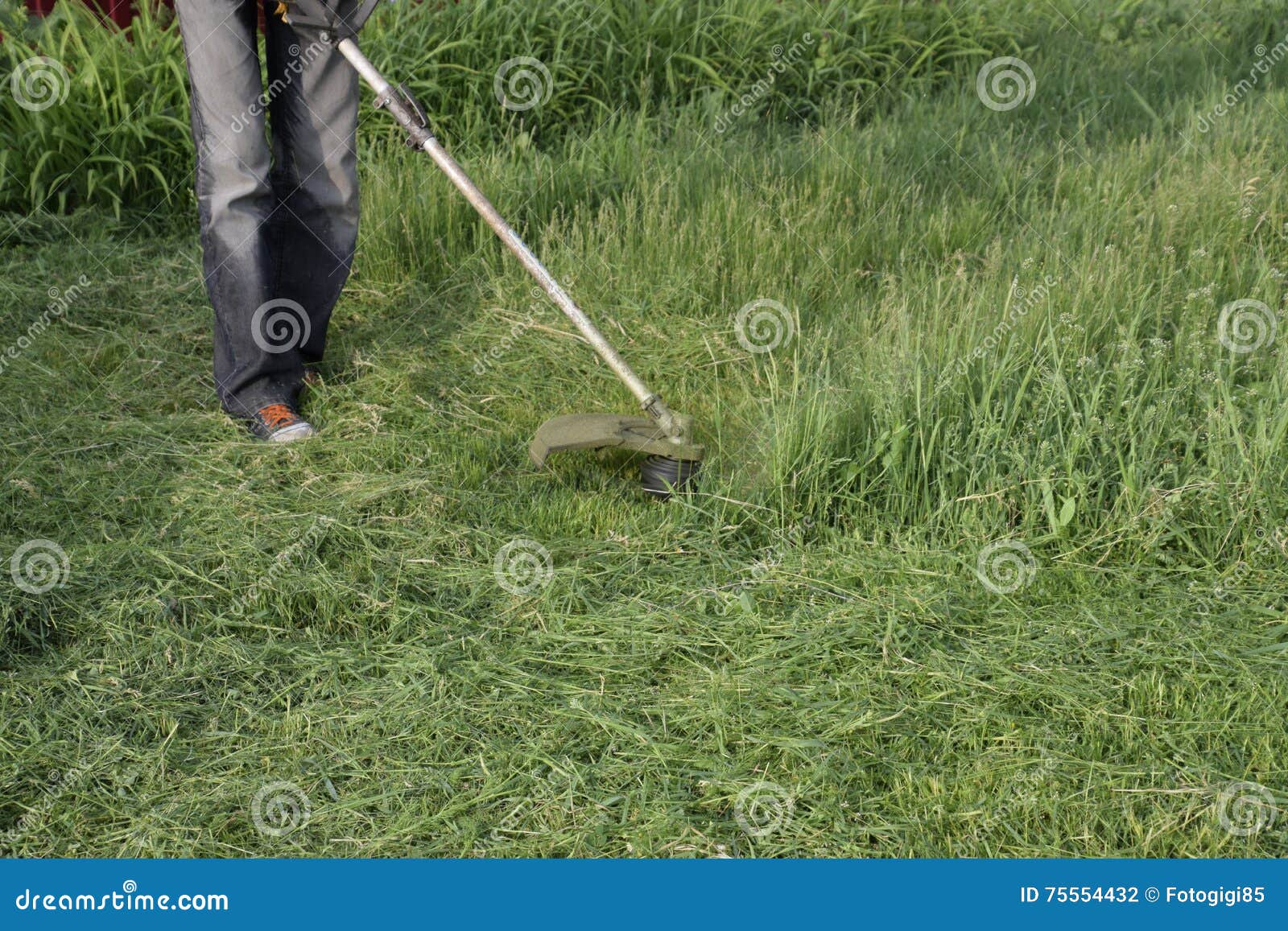 Mowing Green Grass Using a Fishing Line Trimmer Stock Photo Image of