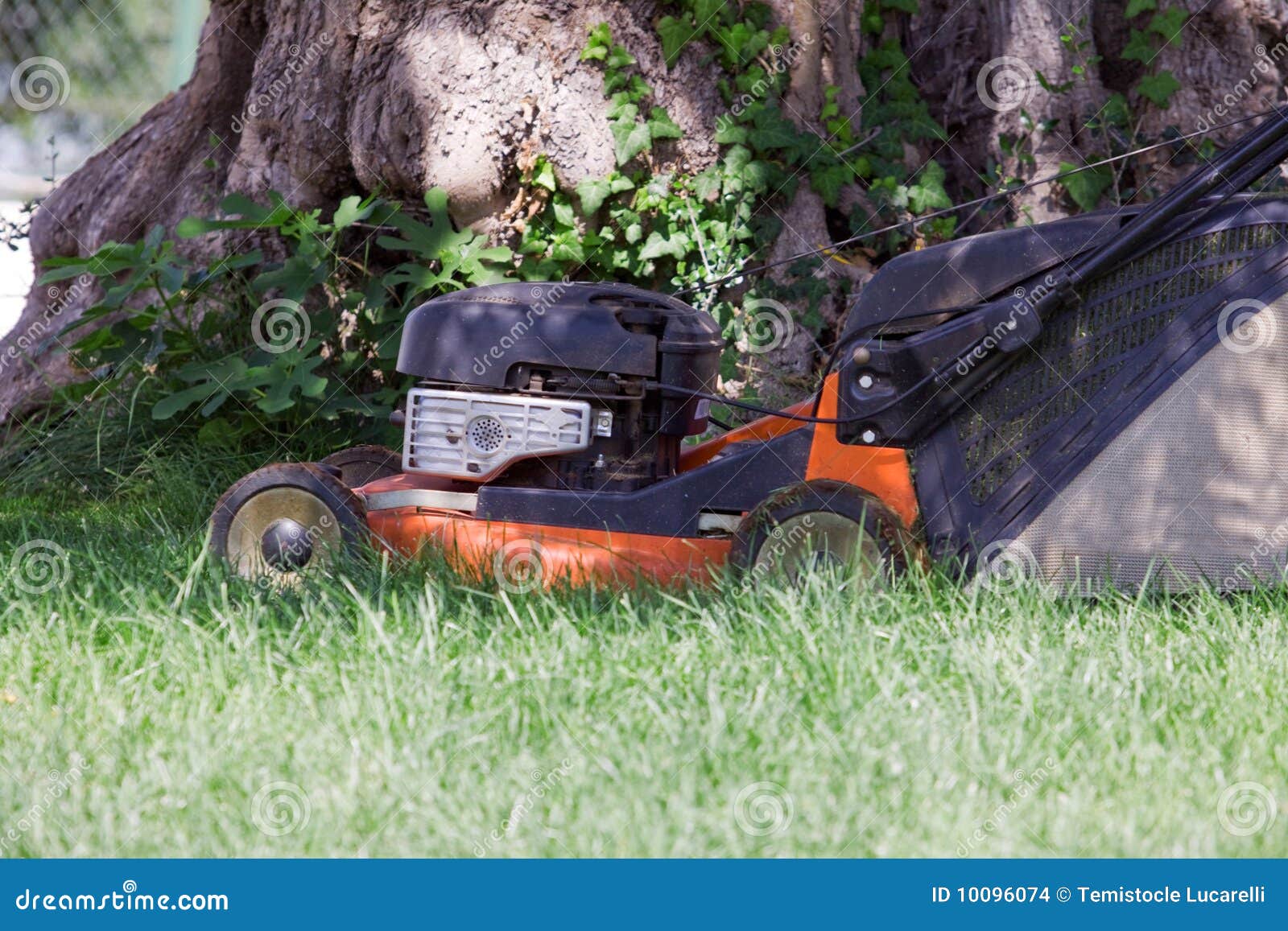 Mowing the meadows stock photo. Image of horticulturist 10096074