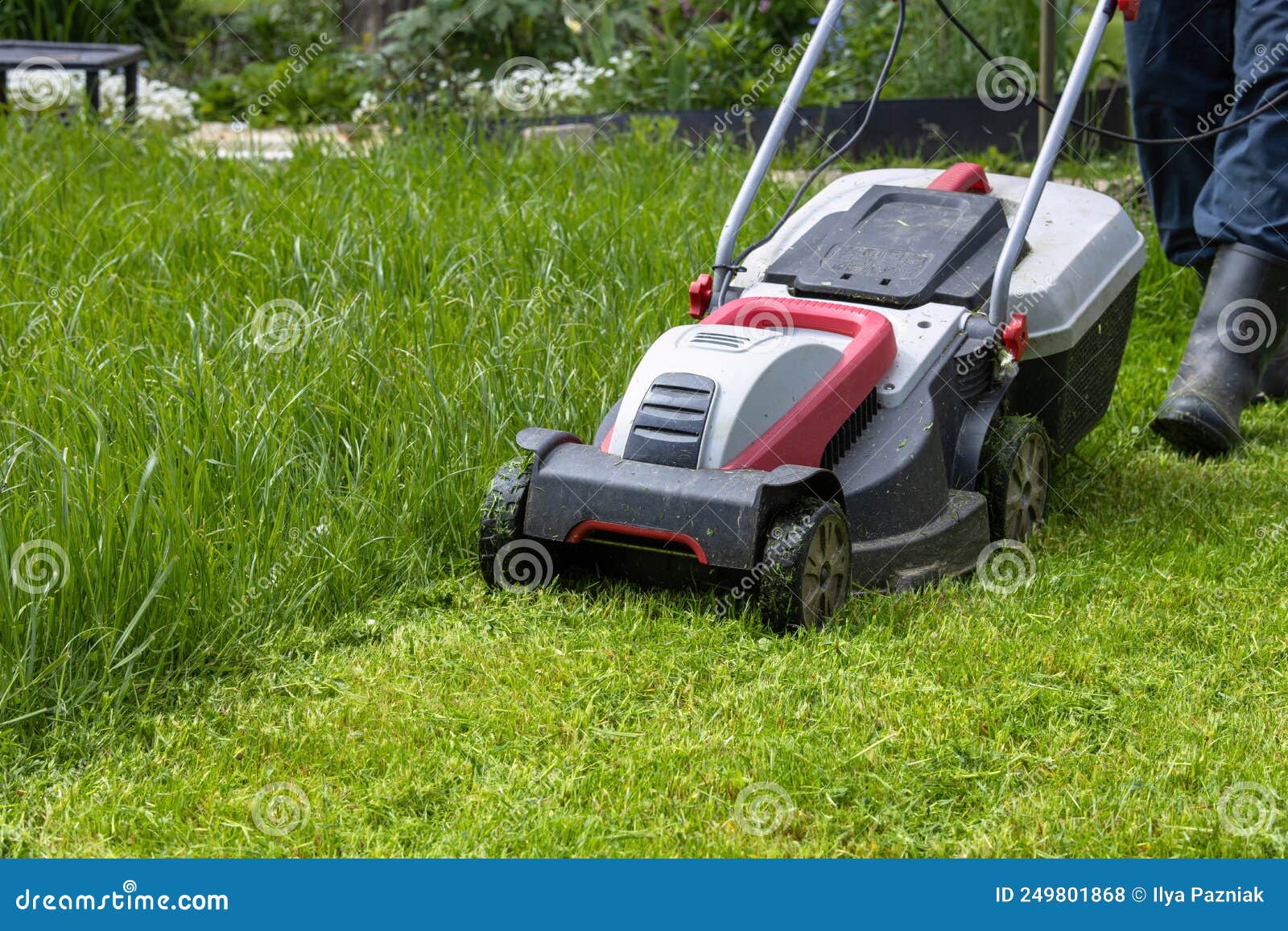 Mowing Tall, Dense Grass with an Electric Lawn Mower Stock Photo