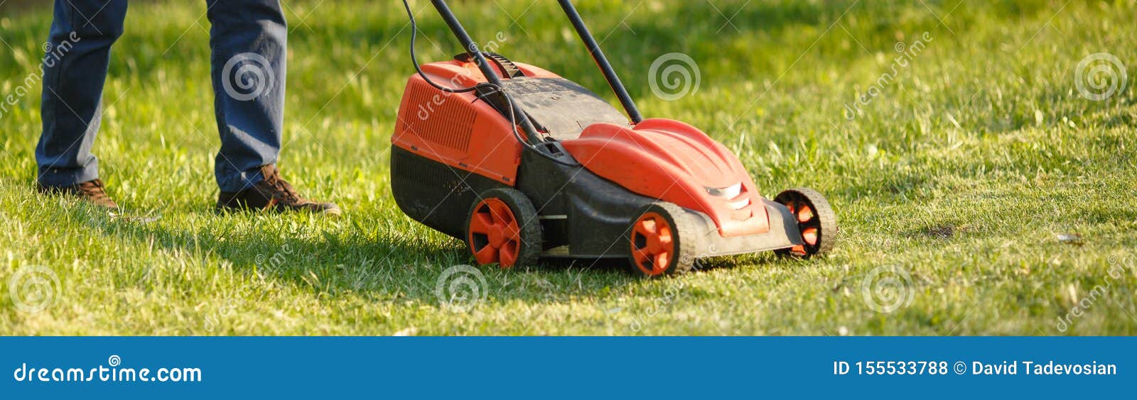 lawnmower man trimmer