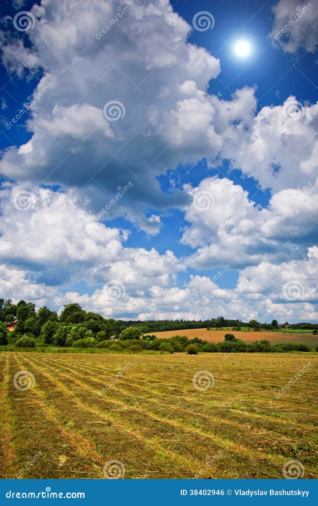 Mown Hay with Lines Spring or Summer Background Stock Photo - Image of