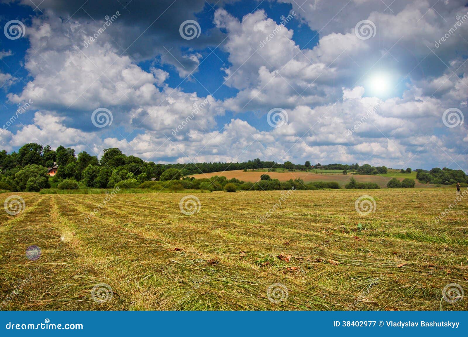 Mown Hay with Lines Spring or Summer Background Stock Image - Image of