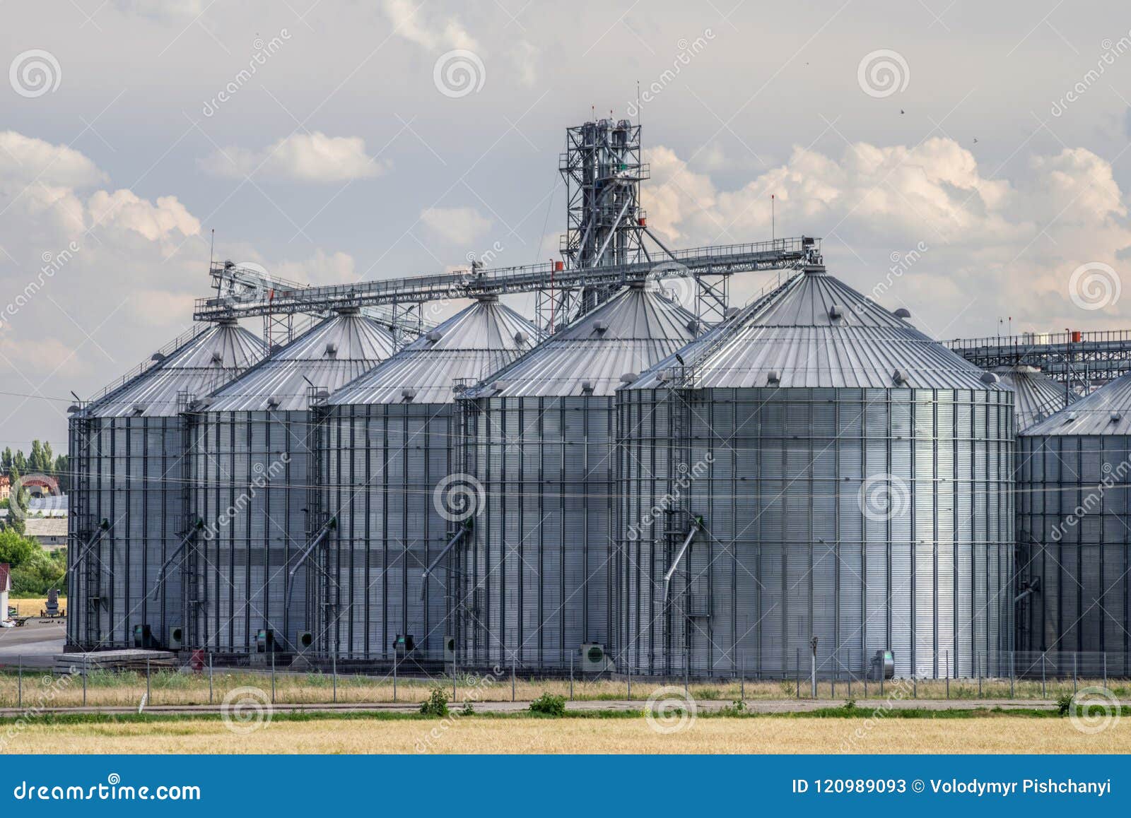 Mown Wheat Field before the Elevator for Grain Storage. Grain Warehouse
