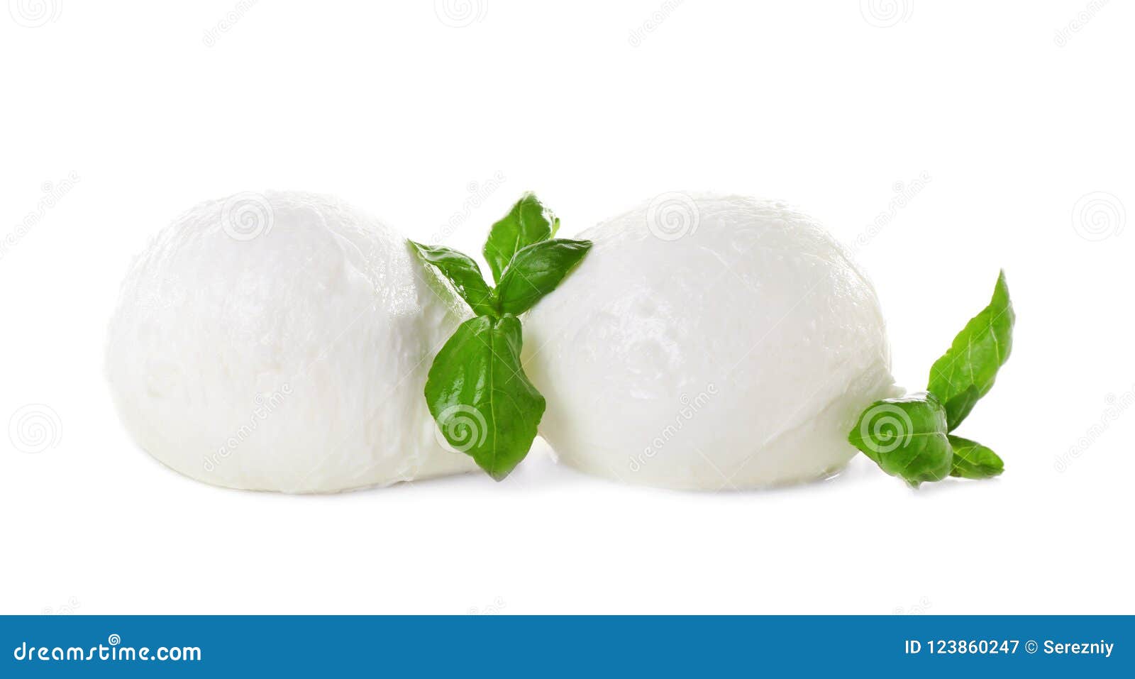 Mozzarella Cheese and Basil on White Background Stock Image Image of