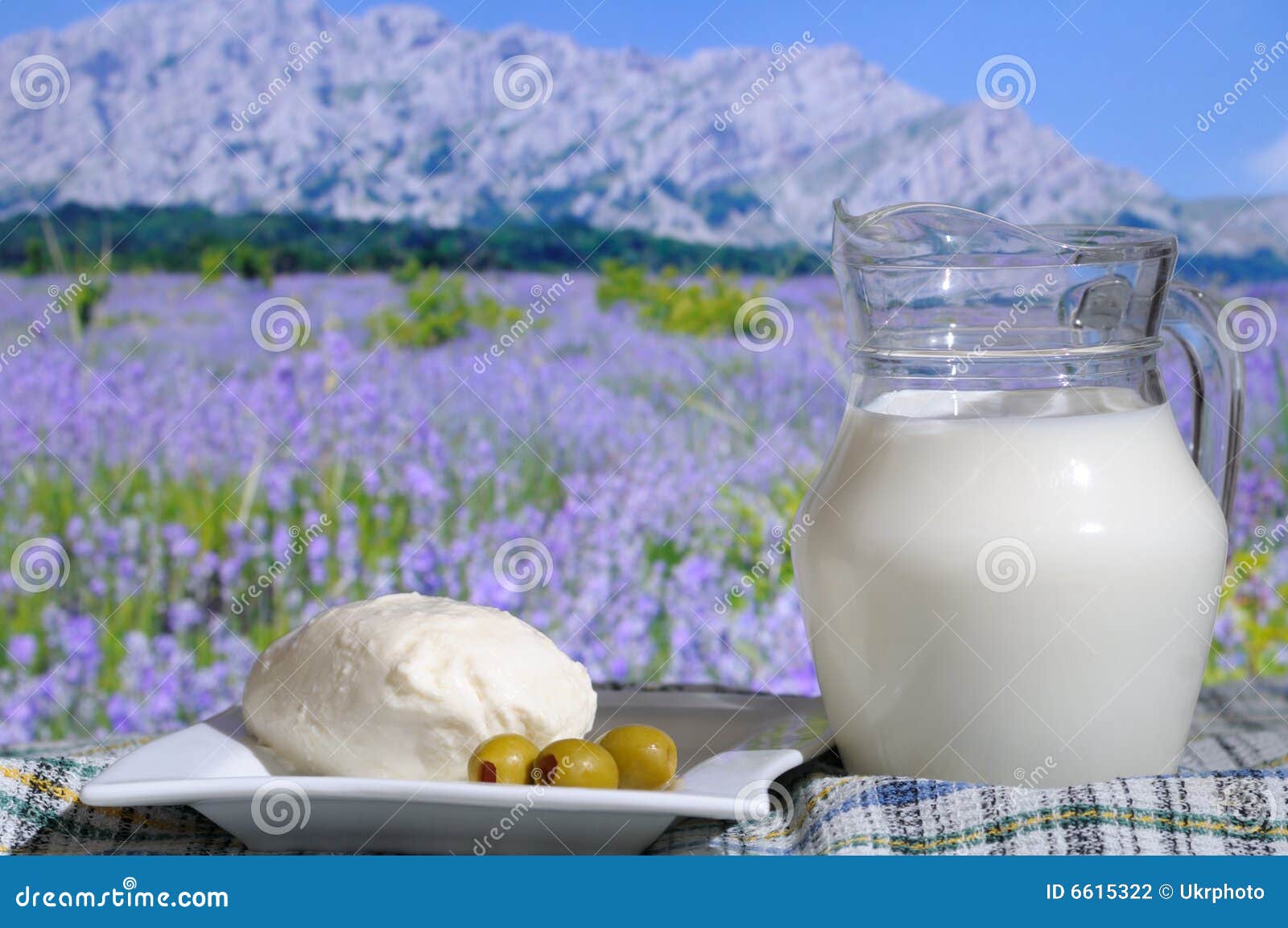 Mozzarella Cheese with Olives and Milk Stock Photo Image of food