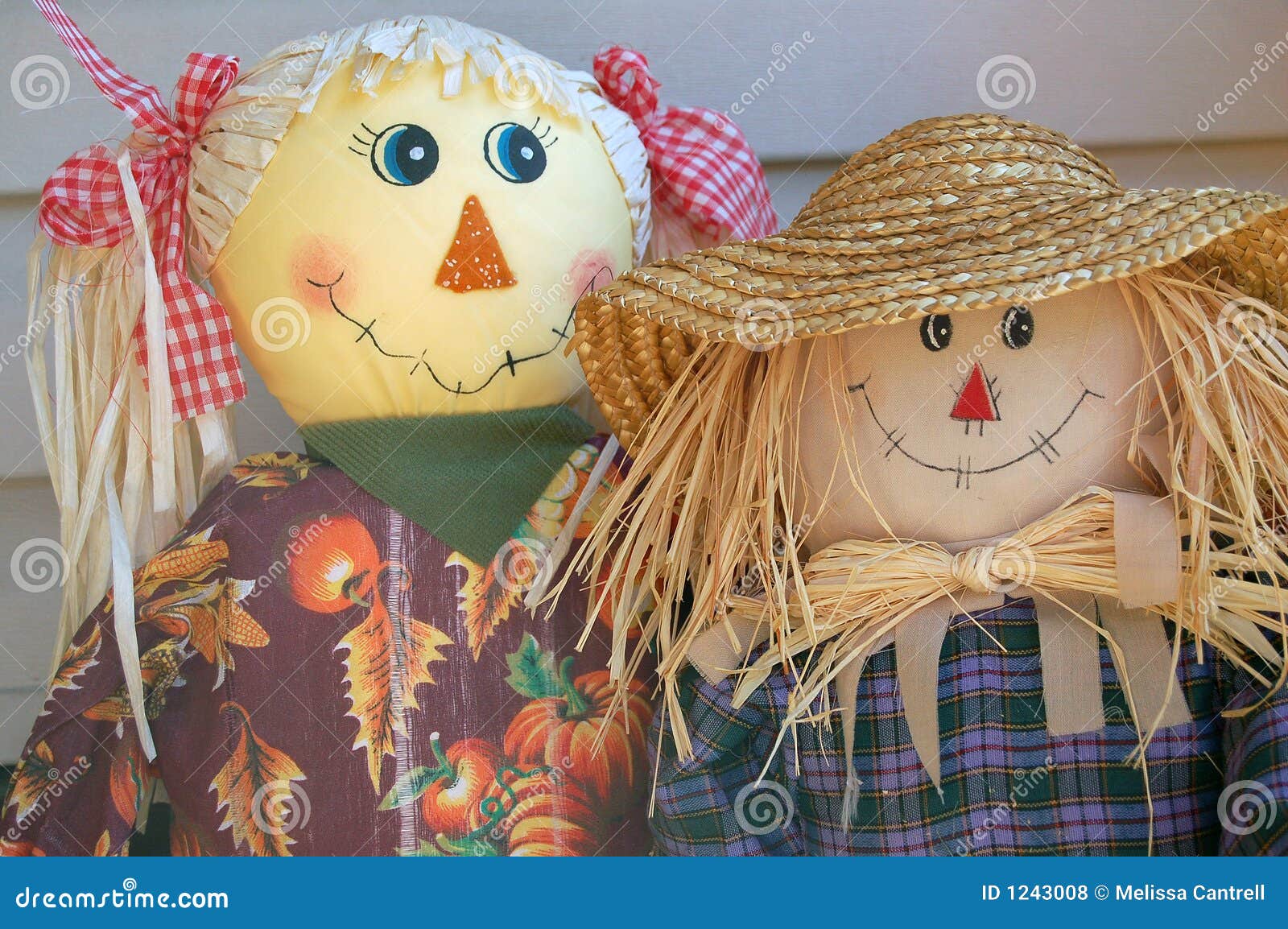 Mr And Mrs Scarecrow Picture. Image 1243008