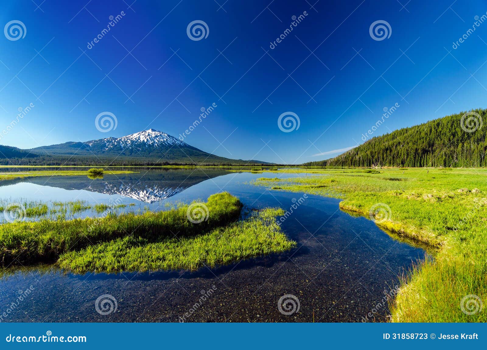 mt. bachelor reflection and forest