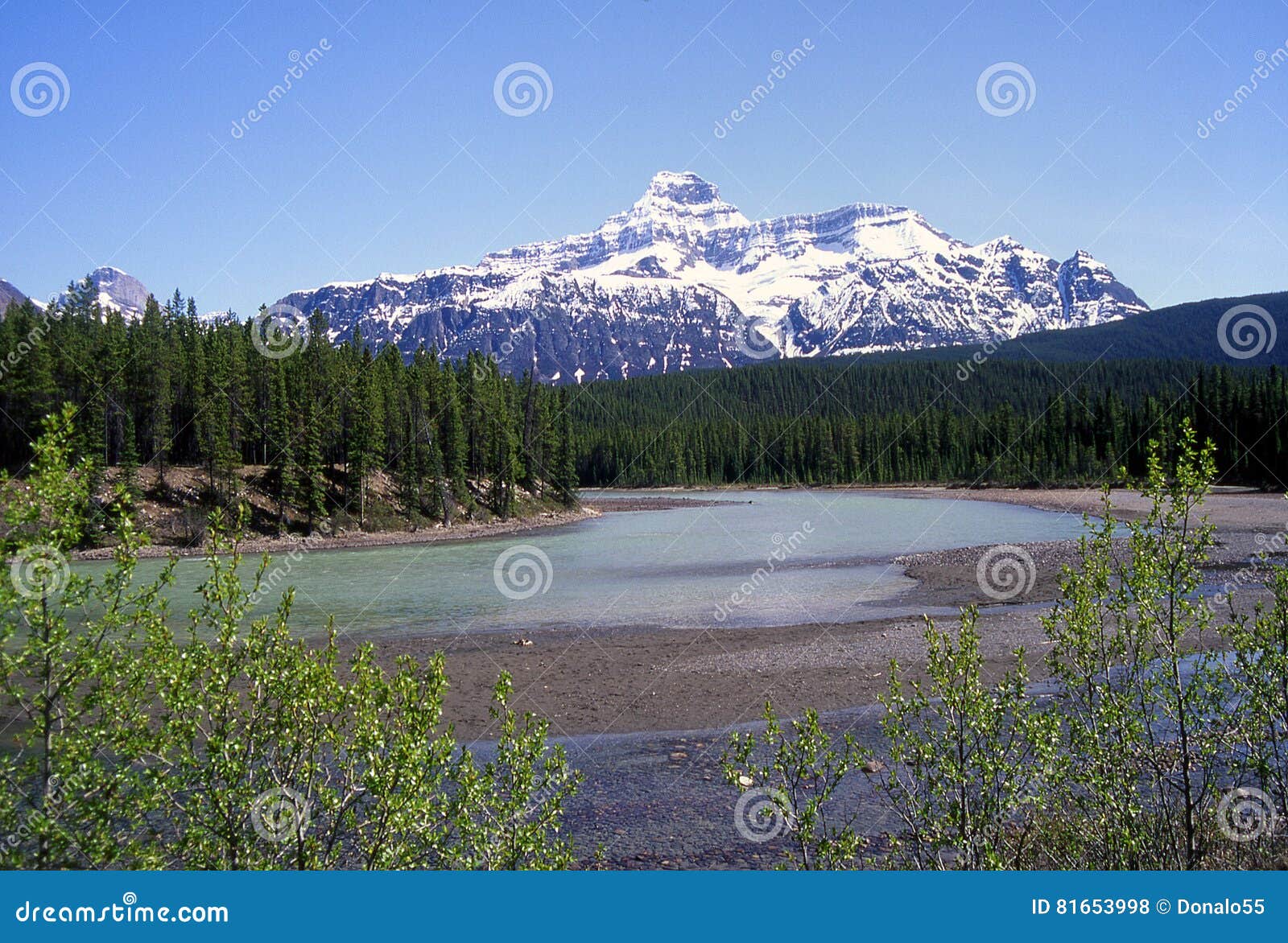 mt.christie jasper national park
