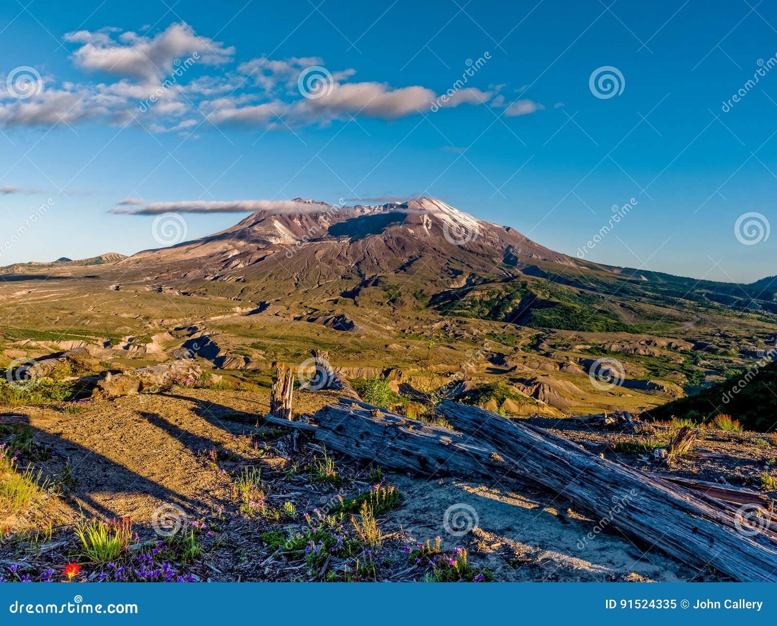 Mt Der Mount Saint Helens stockbild. Bild von gras, gipfel 91524335