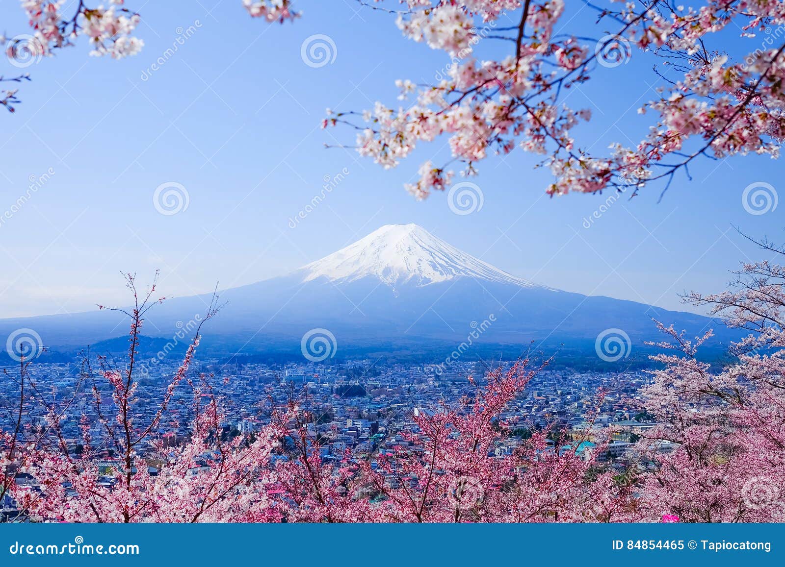 mt. fuji with cherry blossom (sakura )in spring, fujiyoshida, japan
