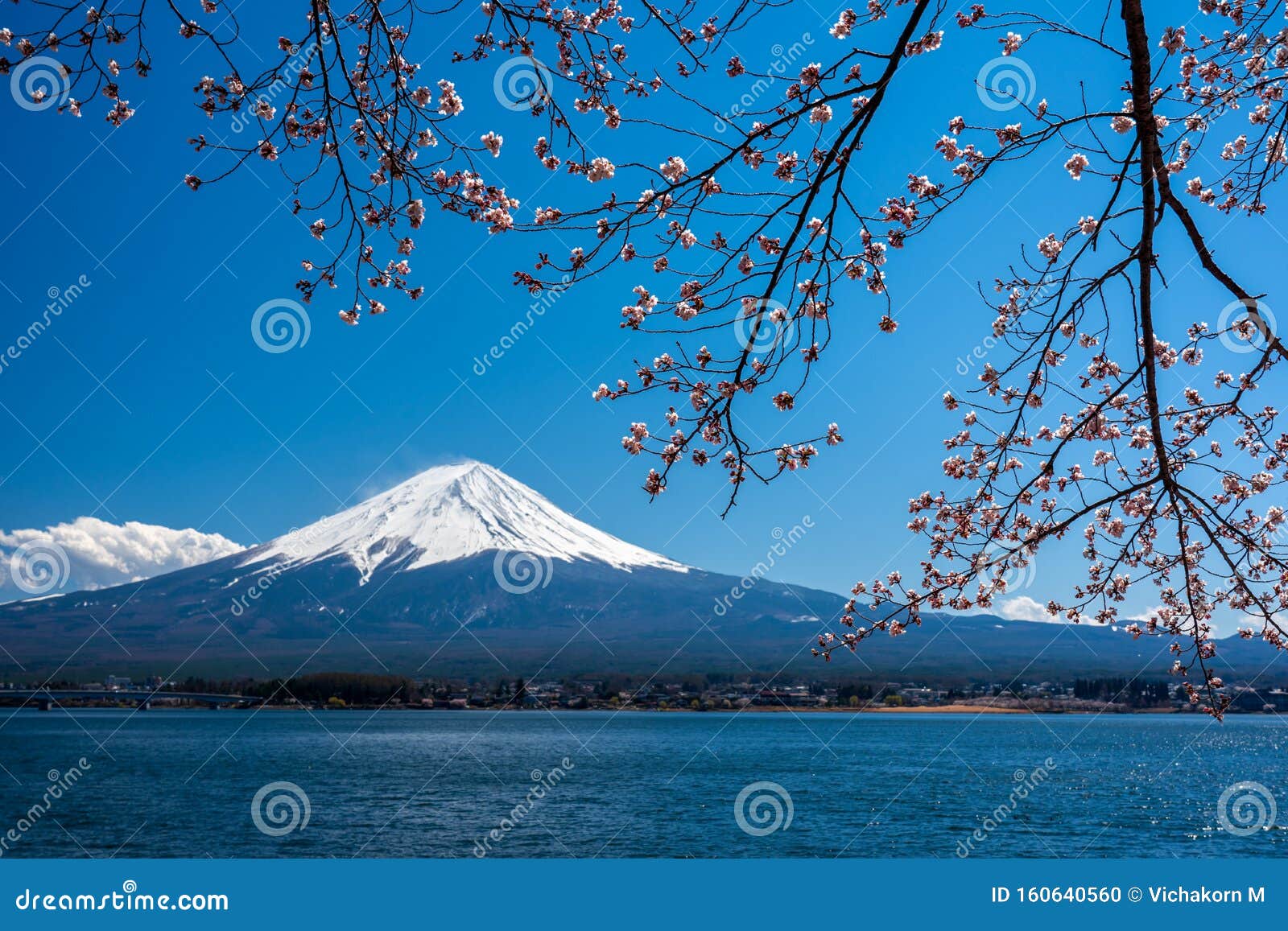 Mt Fuji In De Lente Met Kersenbloesems Bij Kawaguchiko Fujiyoshida Japan De Berg Fuji Is De Japanse Hoogste Berg En Stock Foto Image Of Fuji Blauw 160640560