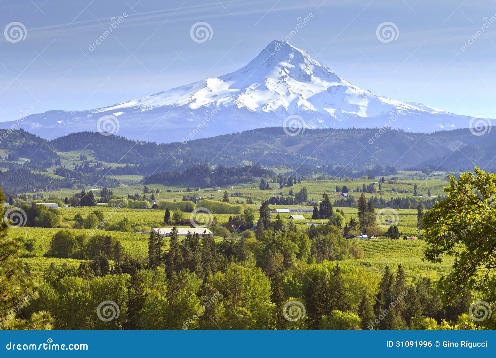 Mt. Hood and Hood River Valley Oregon. Stock Photo Image of mountain