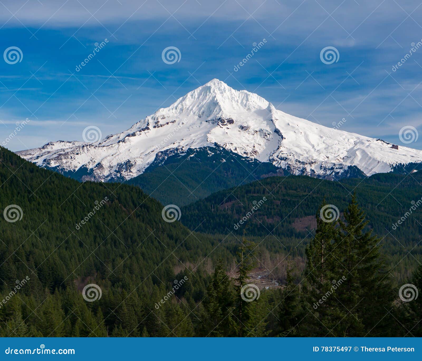 mt hood from lolo pass in oregon 2