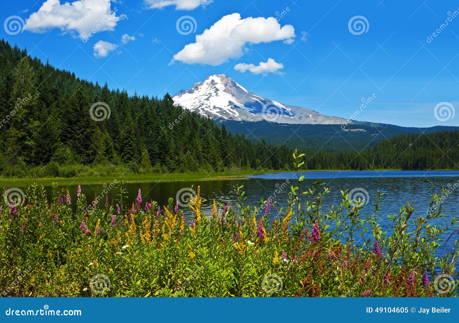 mt. hood with trillium lake and wildflowers