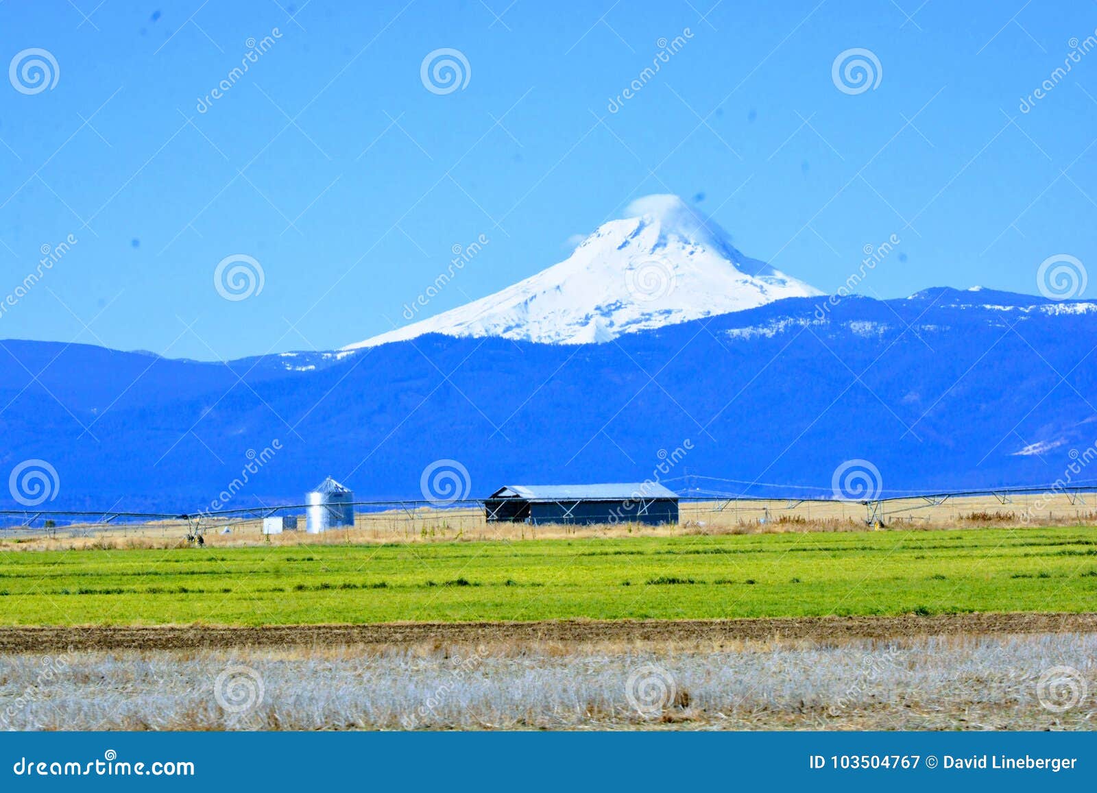 Mt Jefferson Central Oregon Behind Farm Stock Image Image of