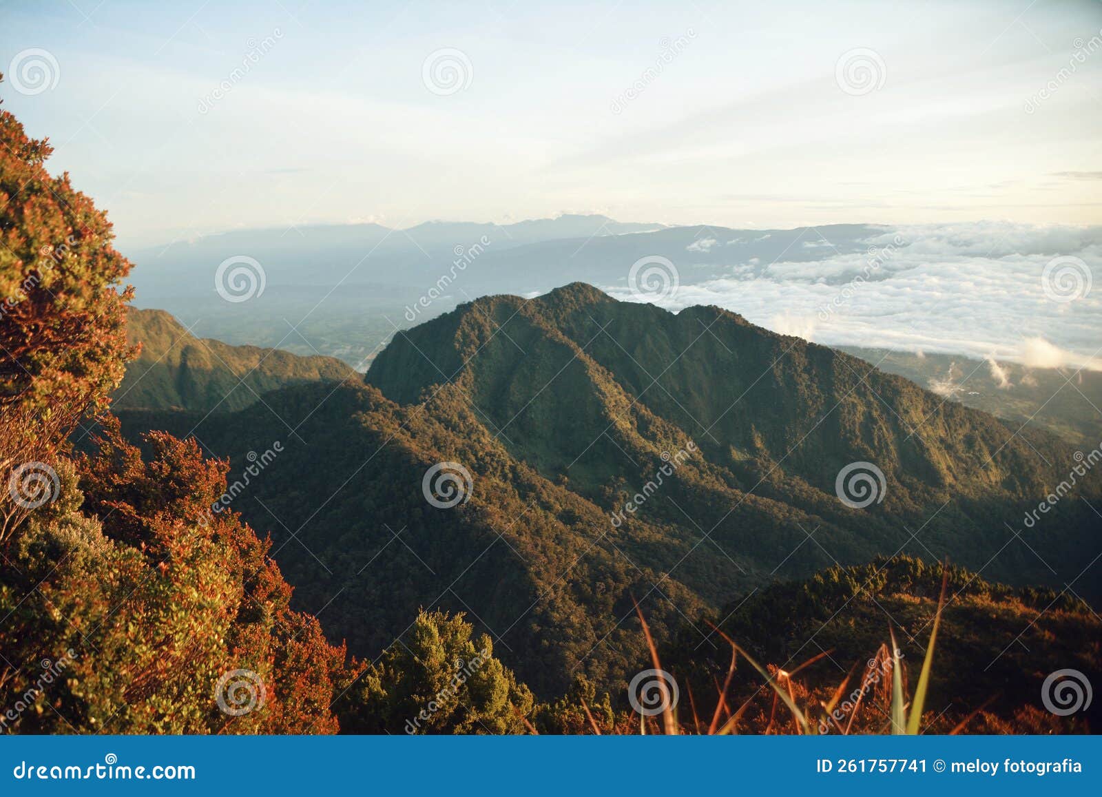 Mt. Kitanglad Mountain Range Stock Image Image of range, mountains