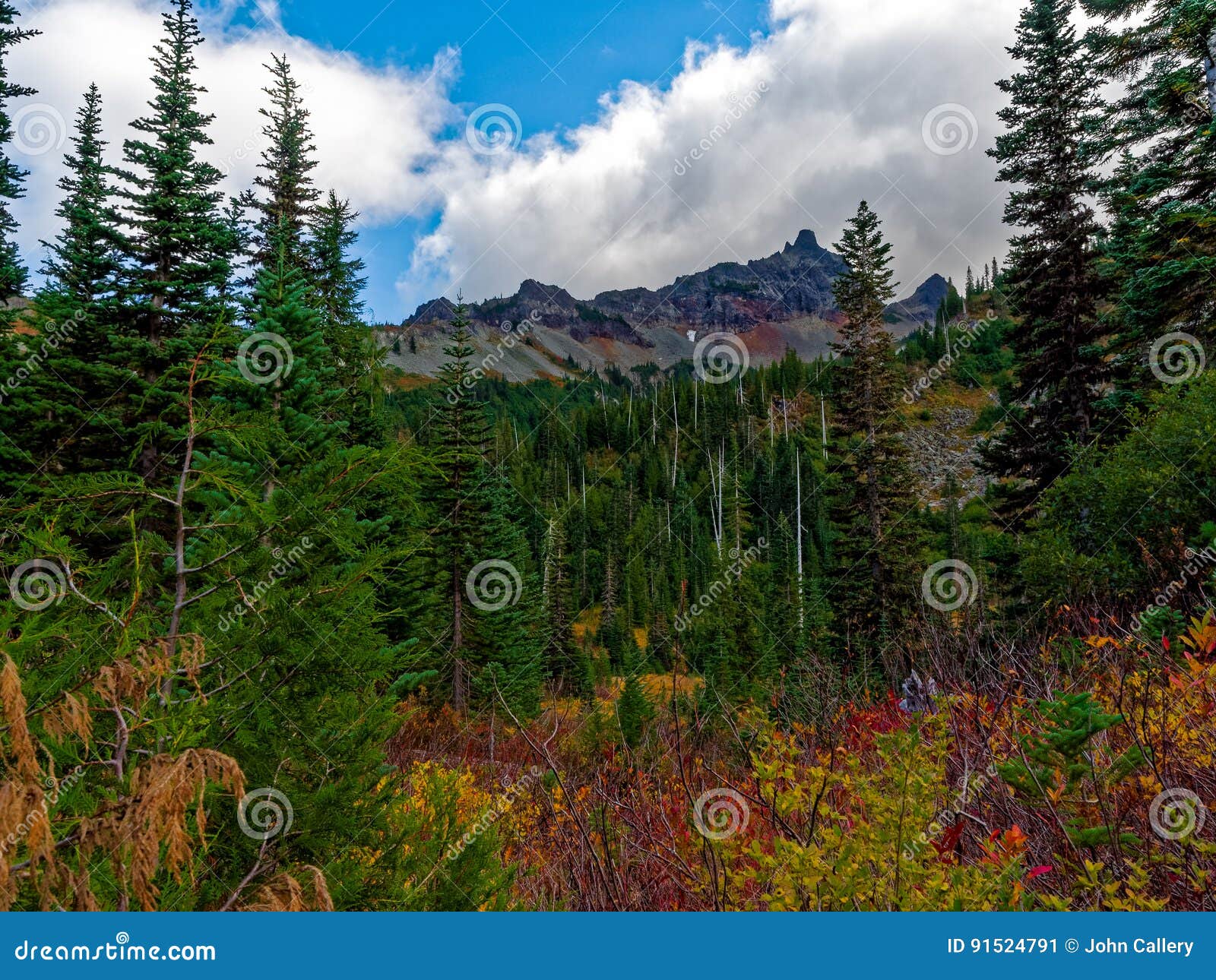 Mt. Rainier National Park Changing Colors Stock Image Image of valley