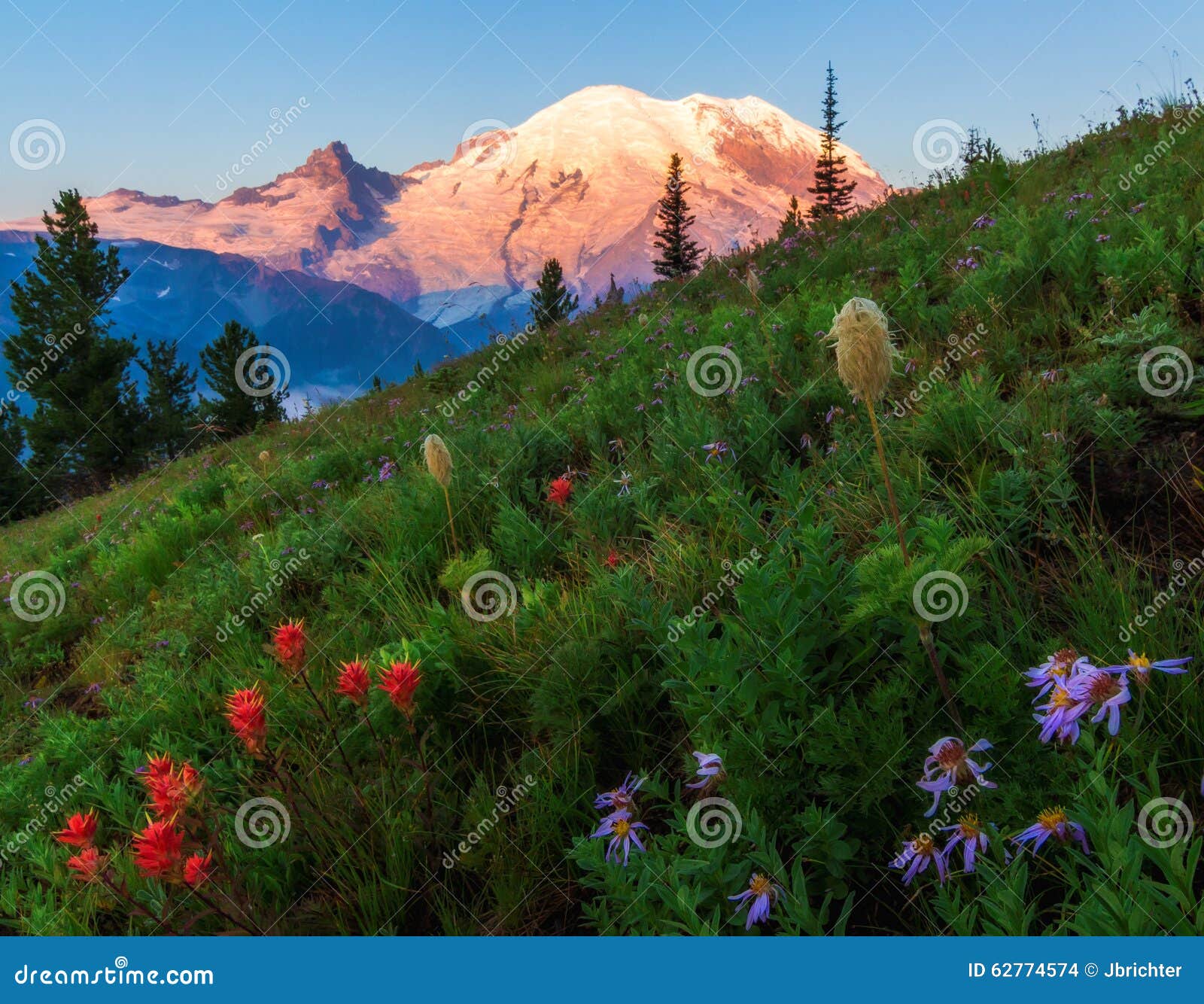 mt. rainier, washington state